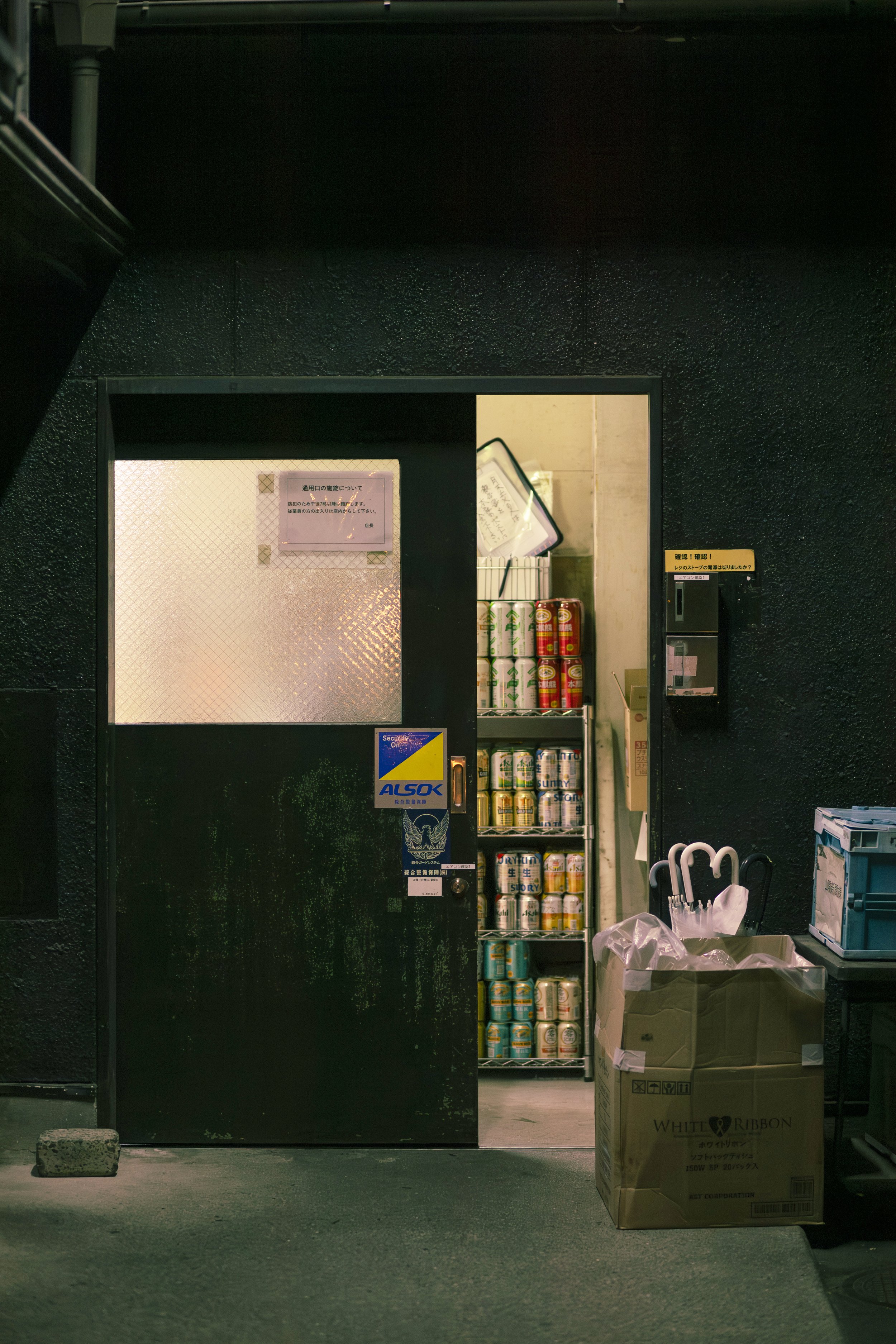 Japan_Liena_Kucher_2025.jpg