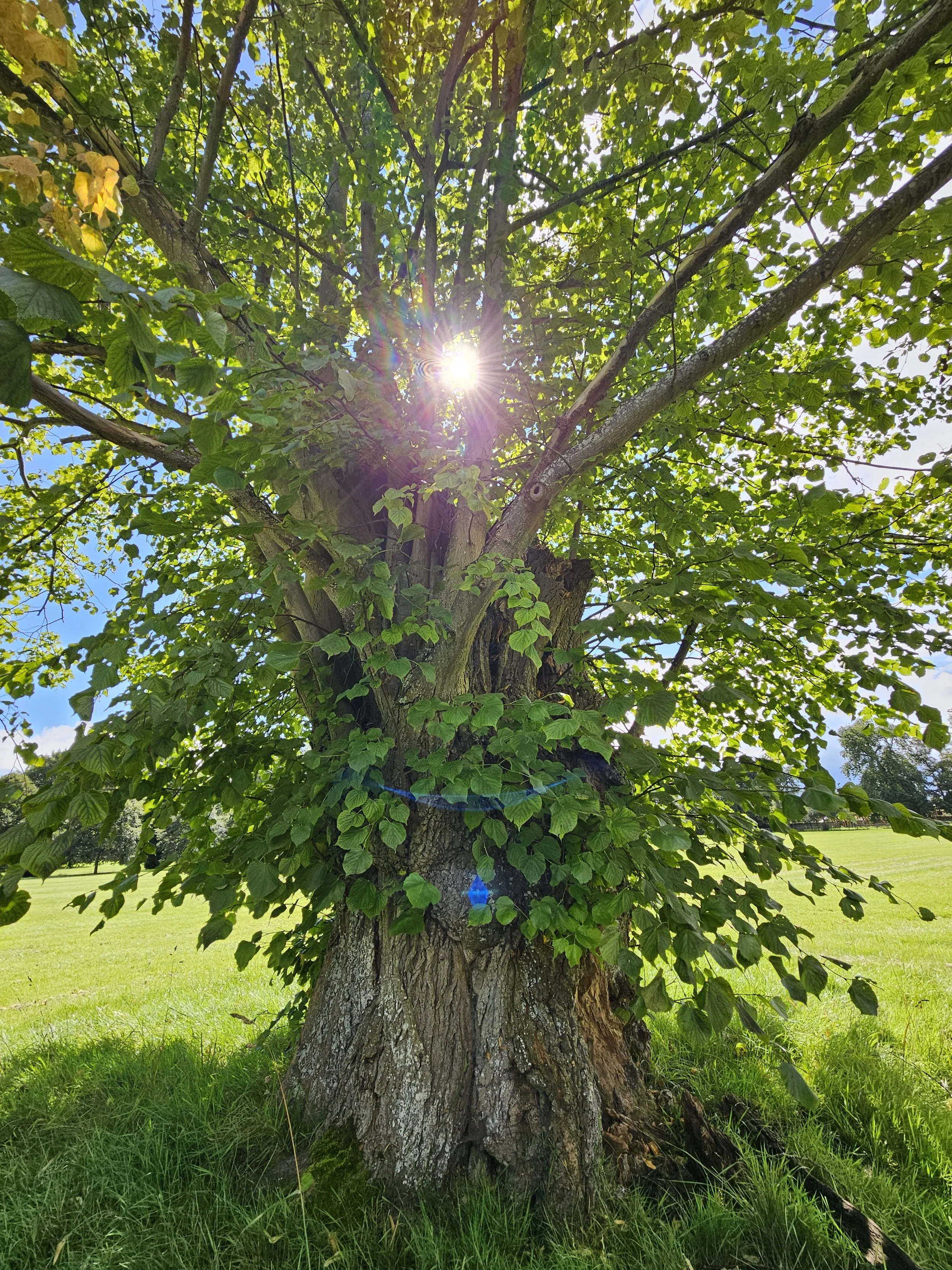 20230806_150238.jpg
