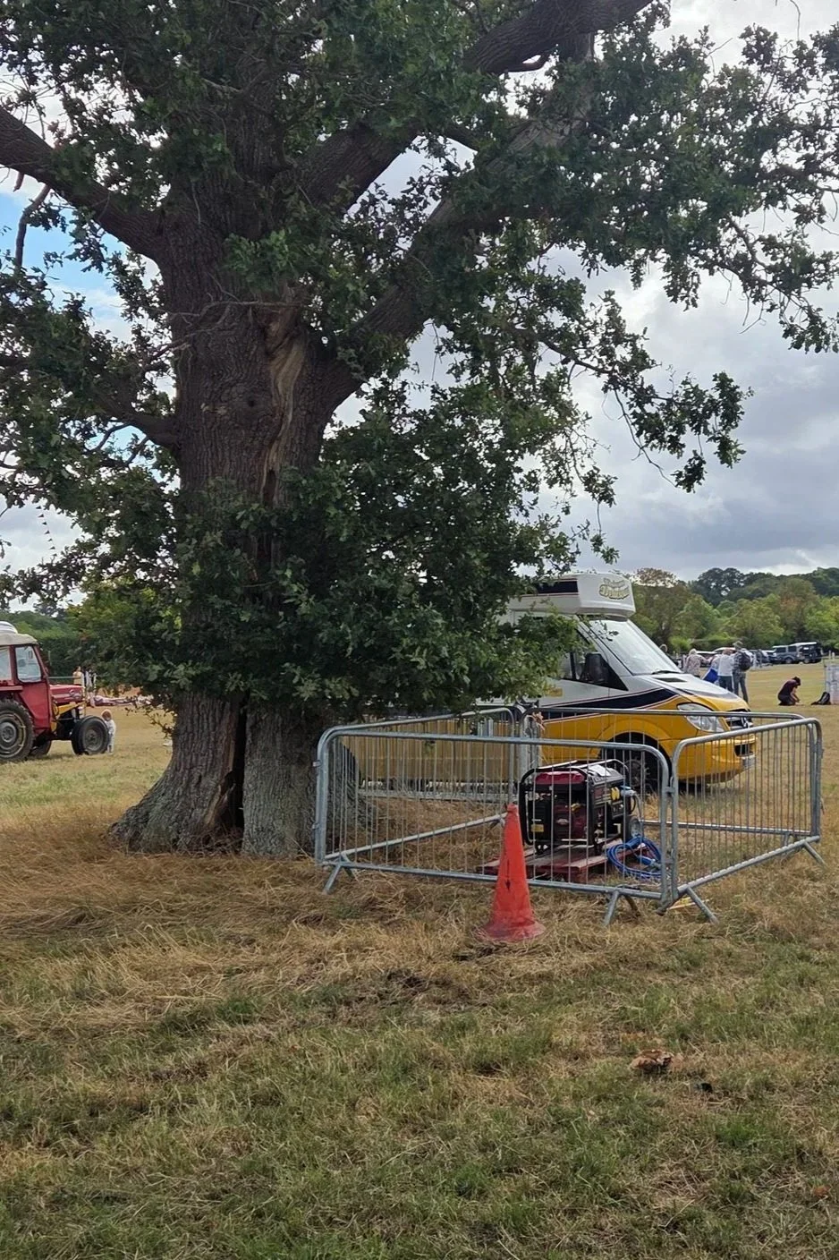 A large tree with a thick trunk and expansive branches in a grassy field, surrounded by a metal barricade, with a yellow and white camper van and an old red tractor nearby during daytime.