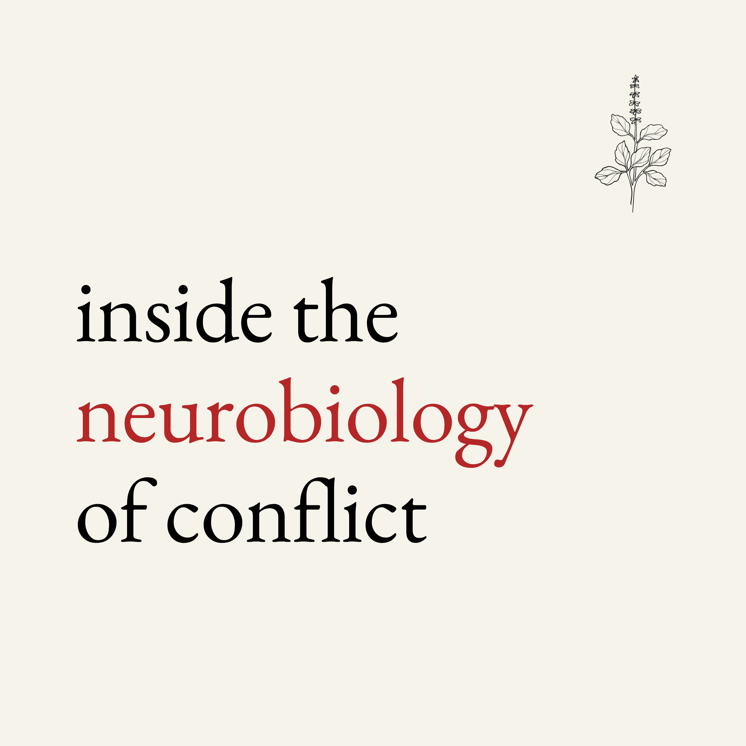 inside the neurobiology of conflict