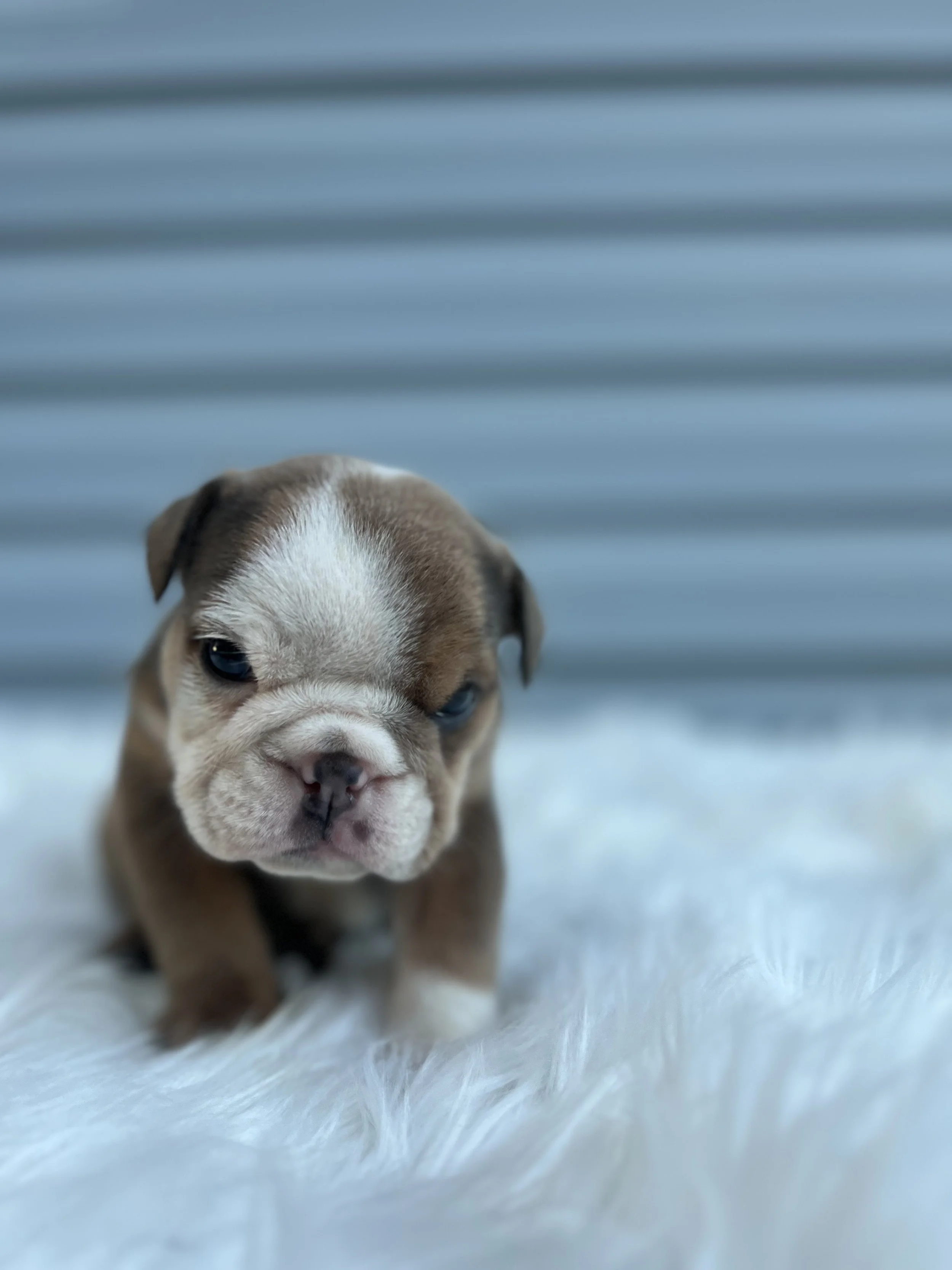 IMG_5994.jpeg