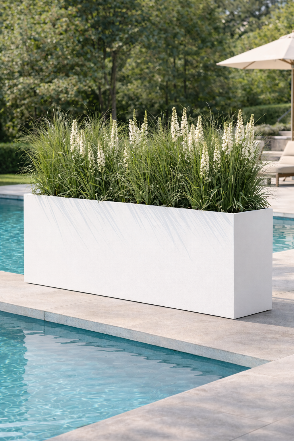 ChatGPT Image Feb 25, 2026, 11_56_33 AM.png