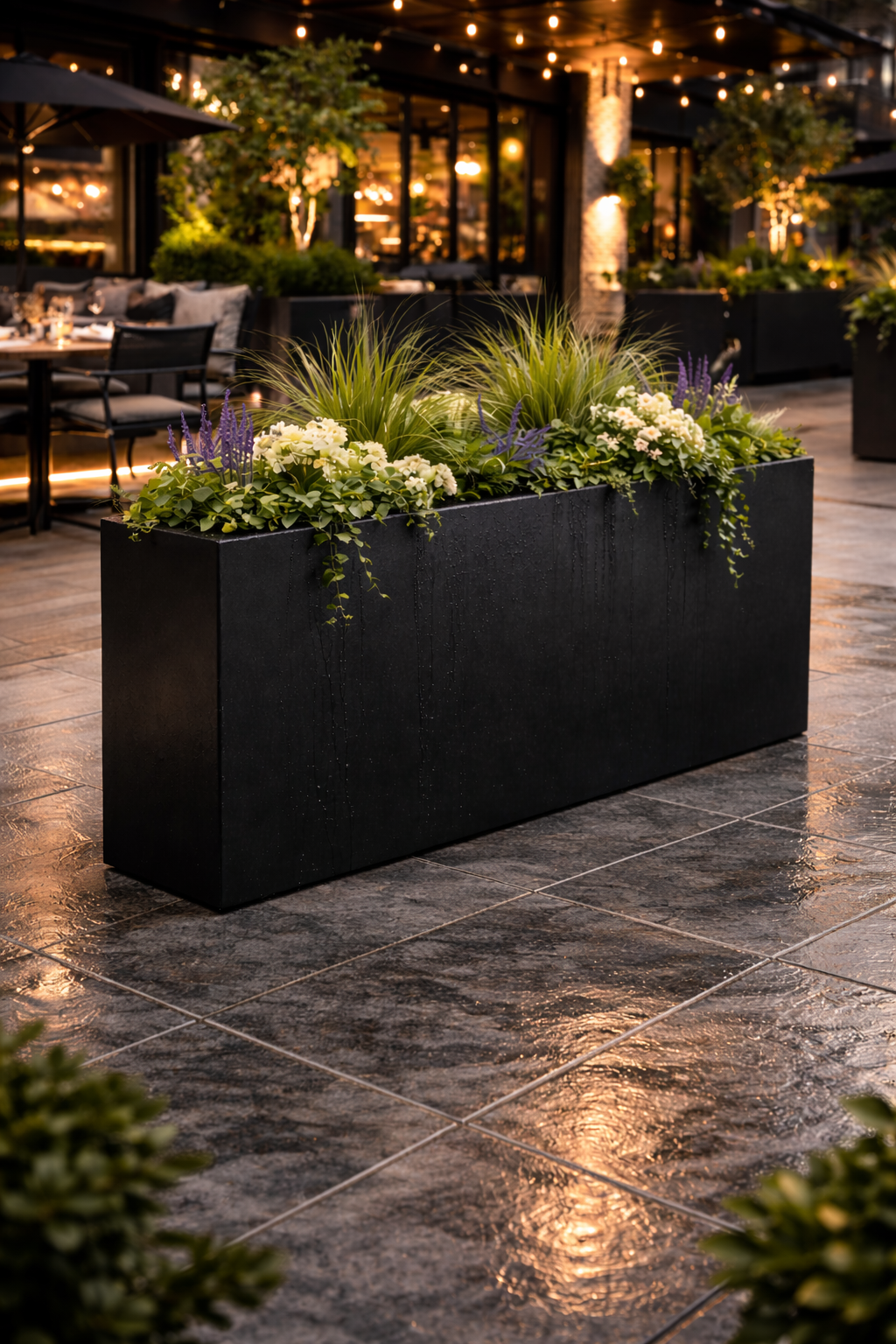 ChatGPT Image Feb 25, 2026, 11_54_42 AM.png