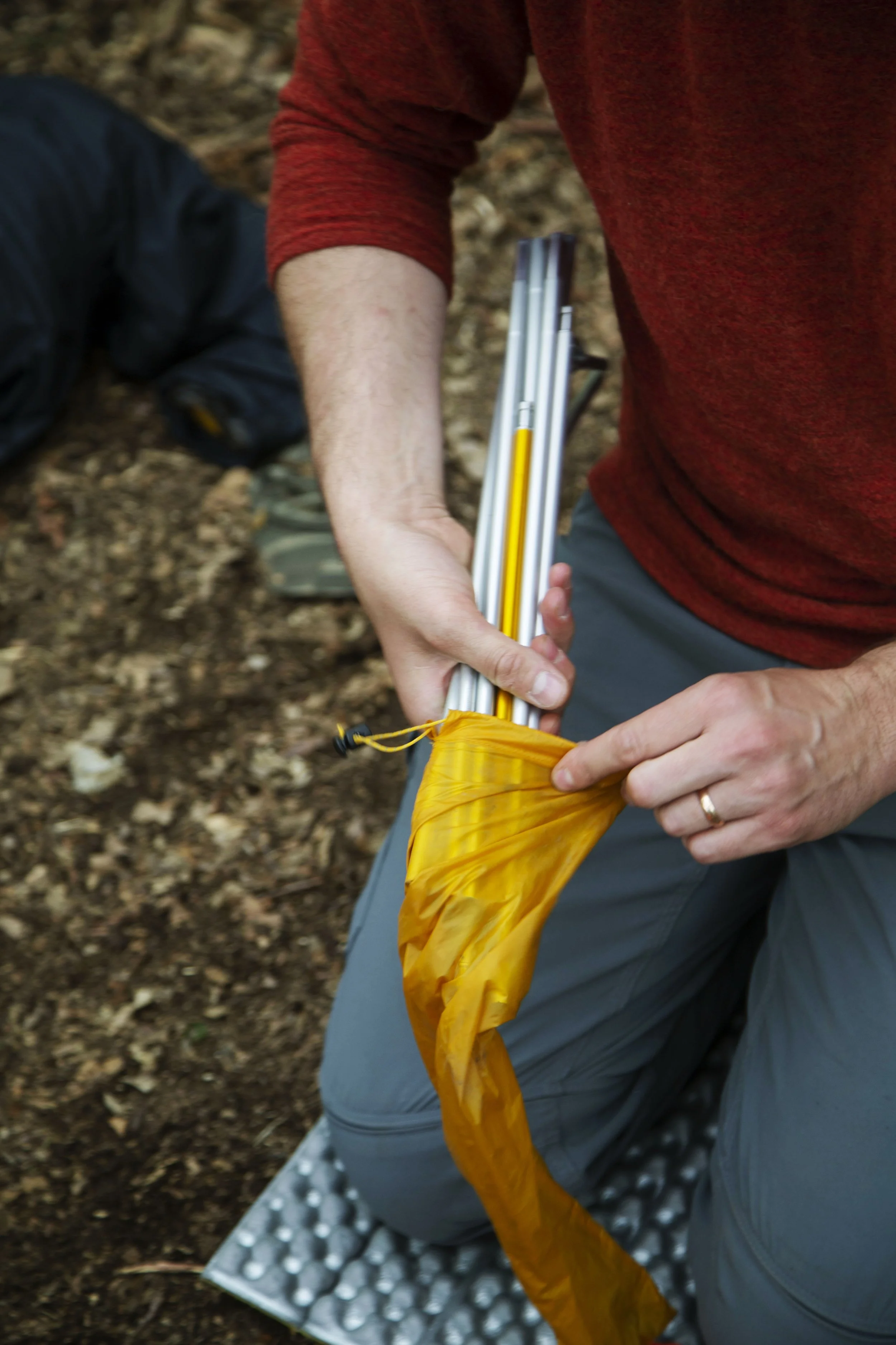 akphoto_0520measeCT1092.JPG