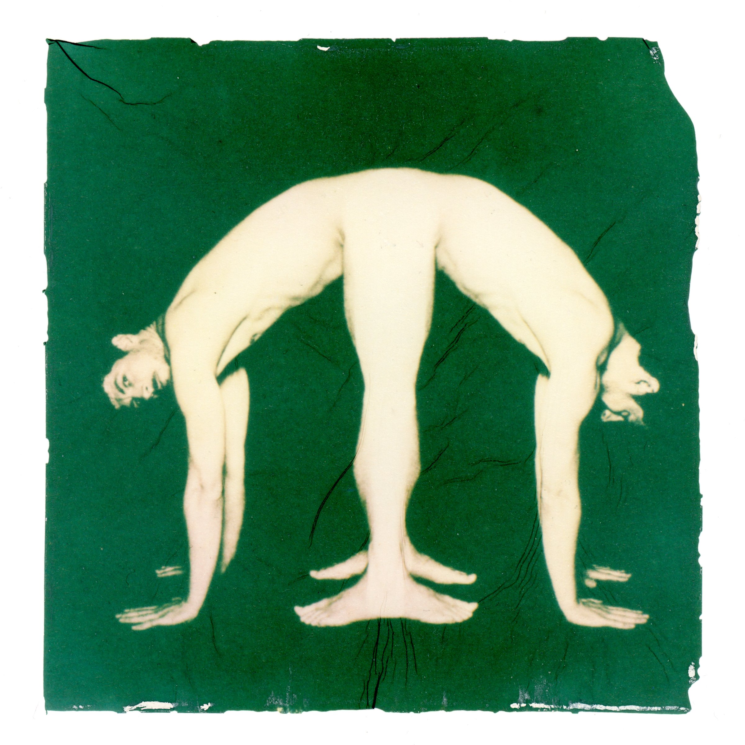 Magnificant Monsters