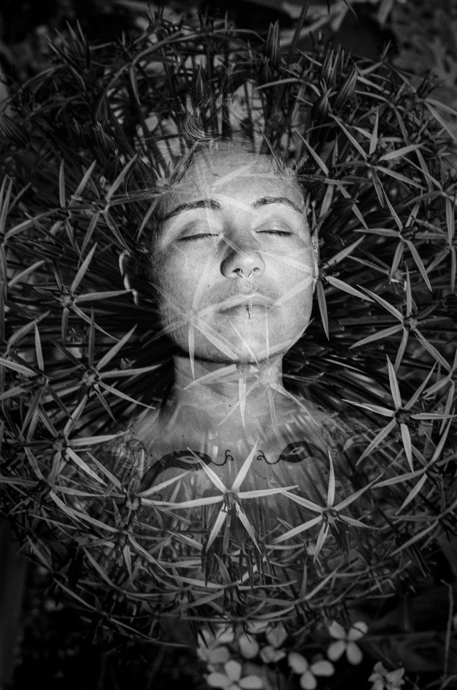 Anna-Célestine, 2023