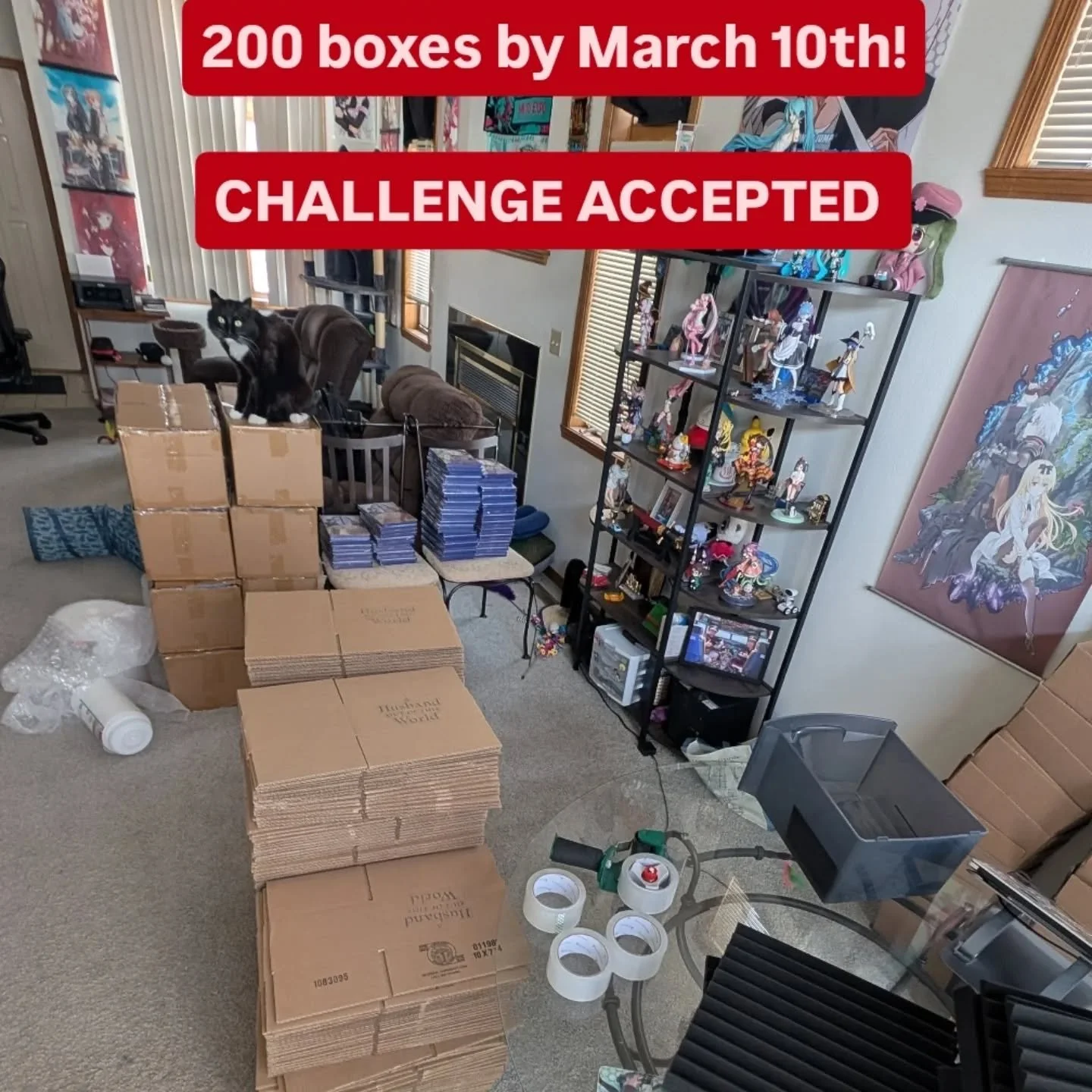 Feb 2026! Kickstarter is done!