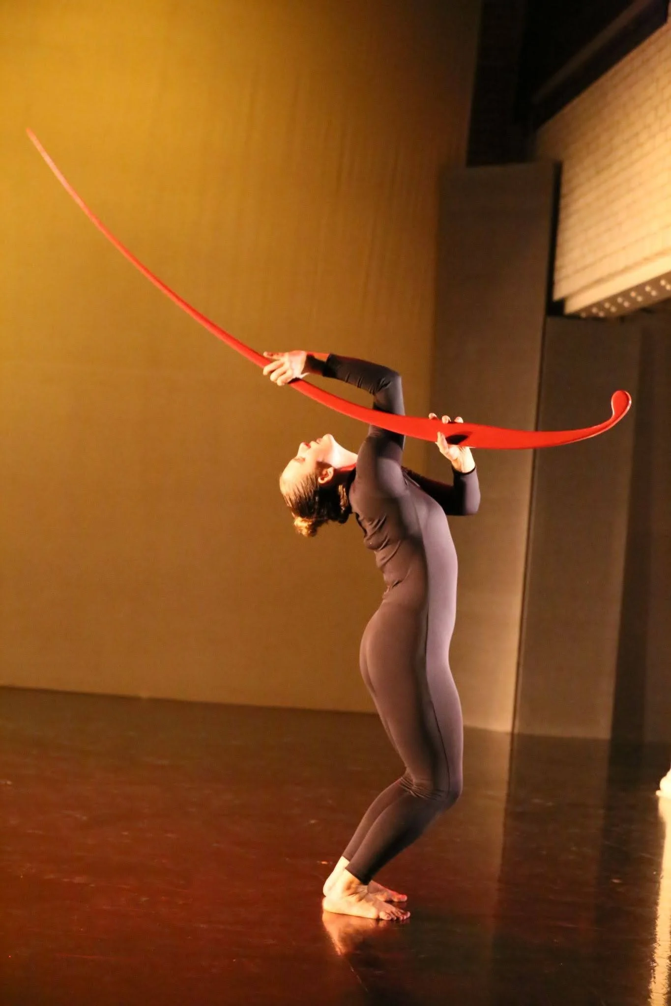 mdc8.jpg