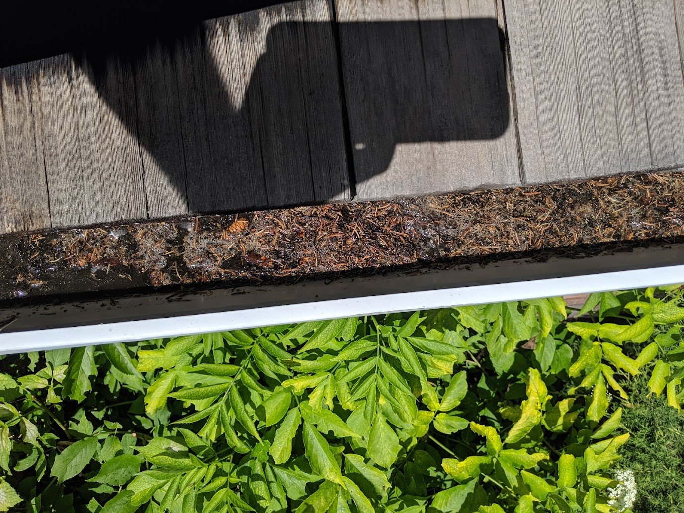 Gutter Cleaning
