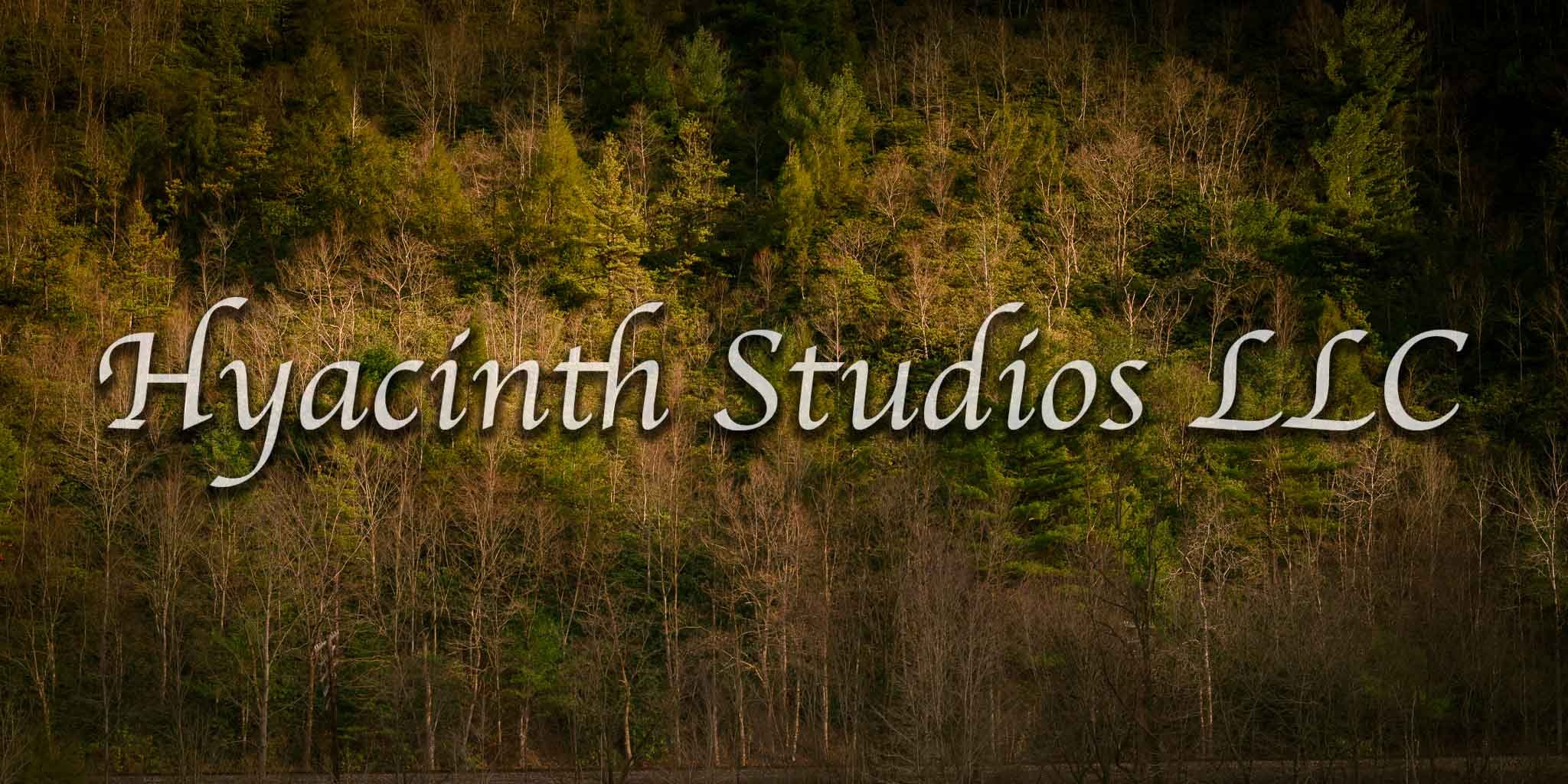 hyacinthstudiosllc-jimthorpe-13.jpg