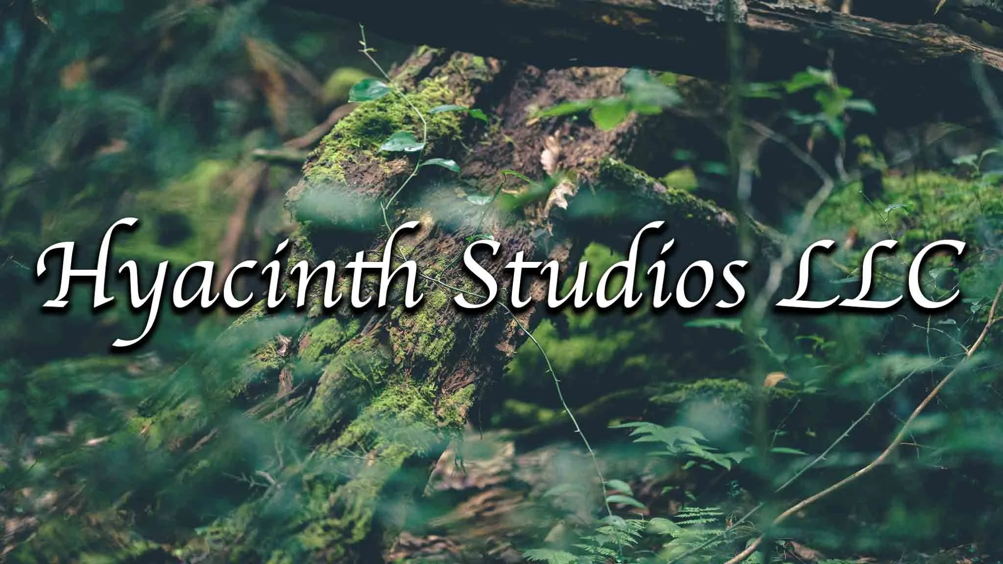 HyacinthStudiosLLC_Authenticity_FacesForSmartwatches-4.jpg