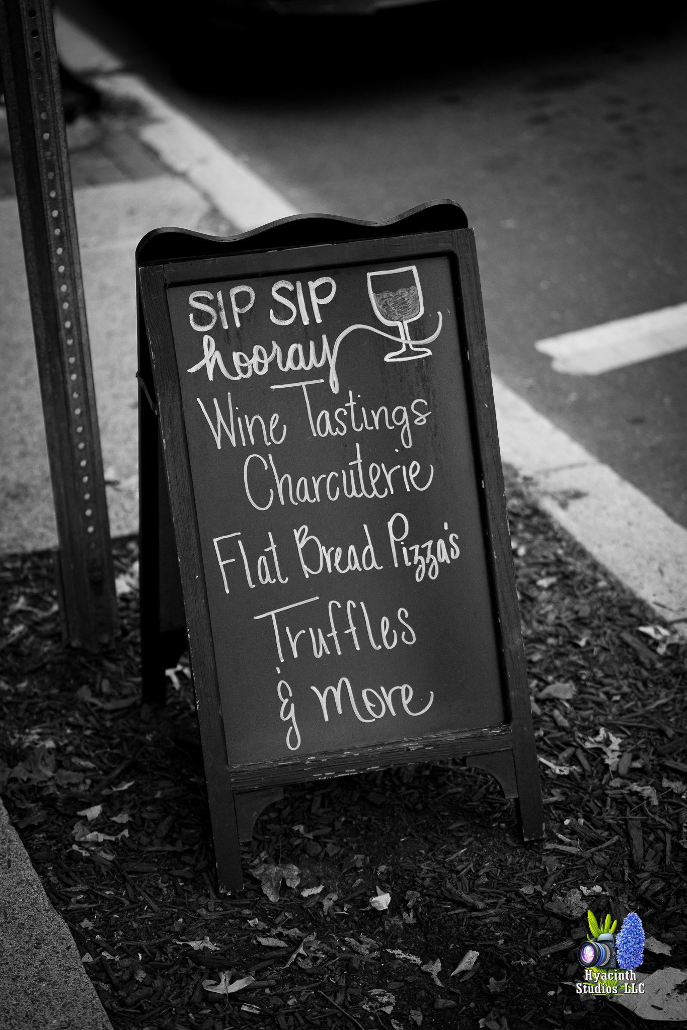 hyacinthstudiosllc-lambertville-24sataugust2024-31.jpg