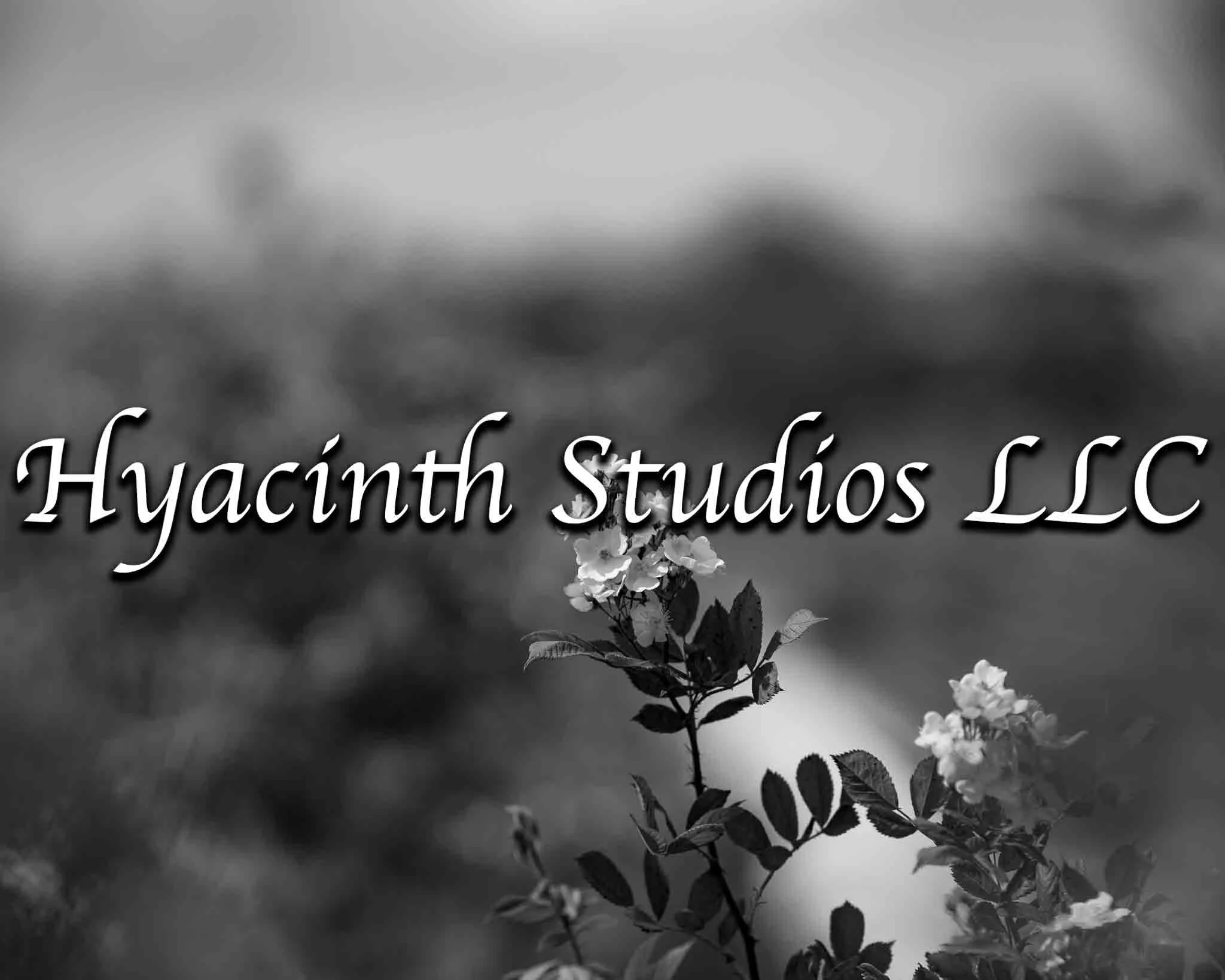 HyacinthStudiosLLC_Serenity_Display Images-1.jpg