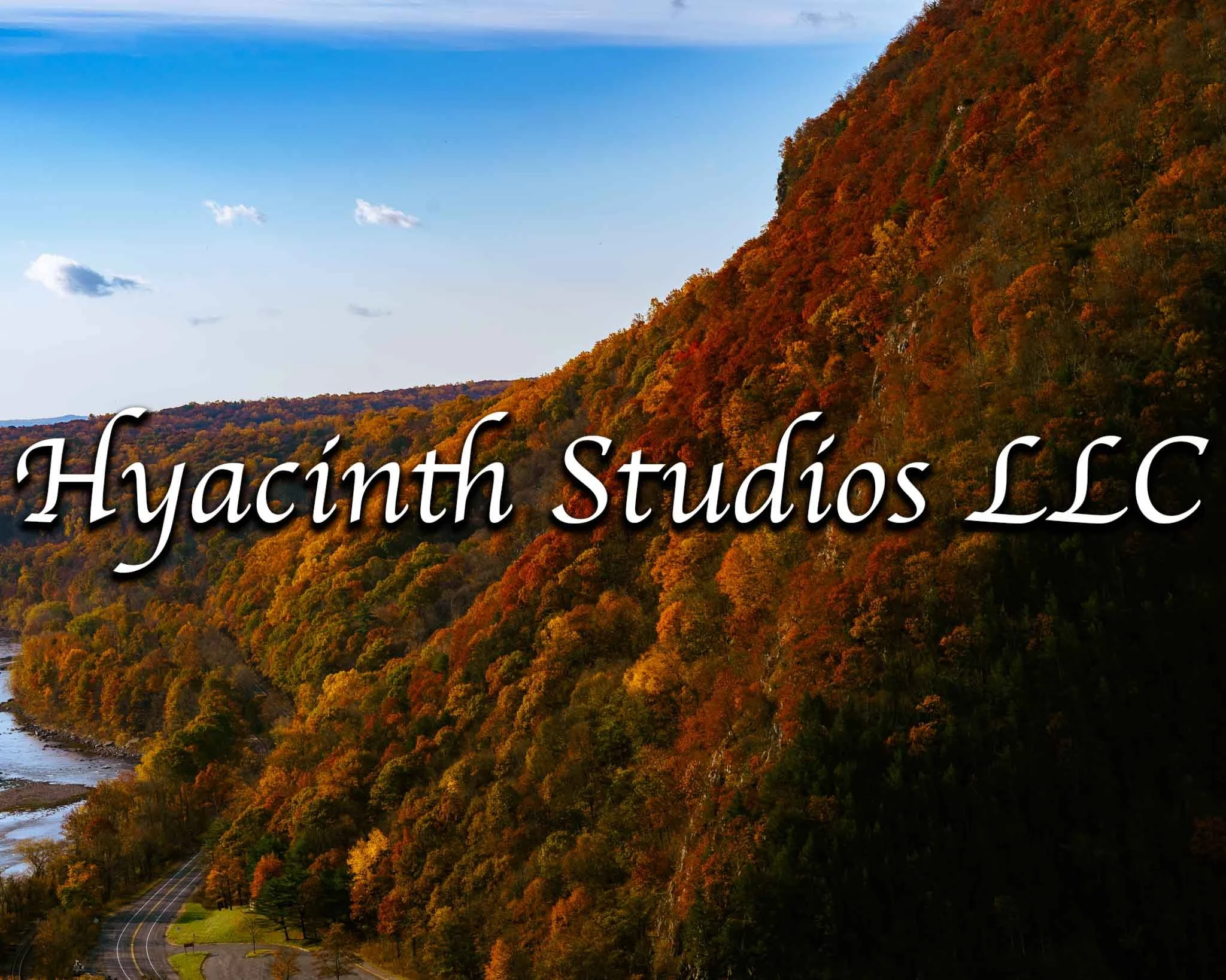 HyacinthStudiosLLC_Download_Autumn2024_FacesforSmartwatches_Display-2.jpg