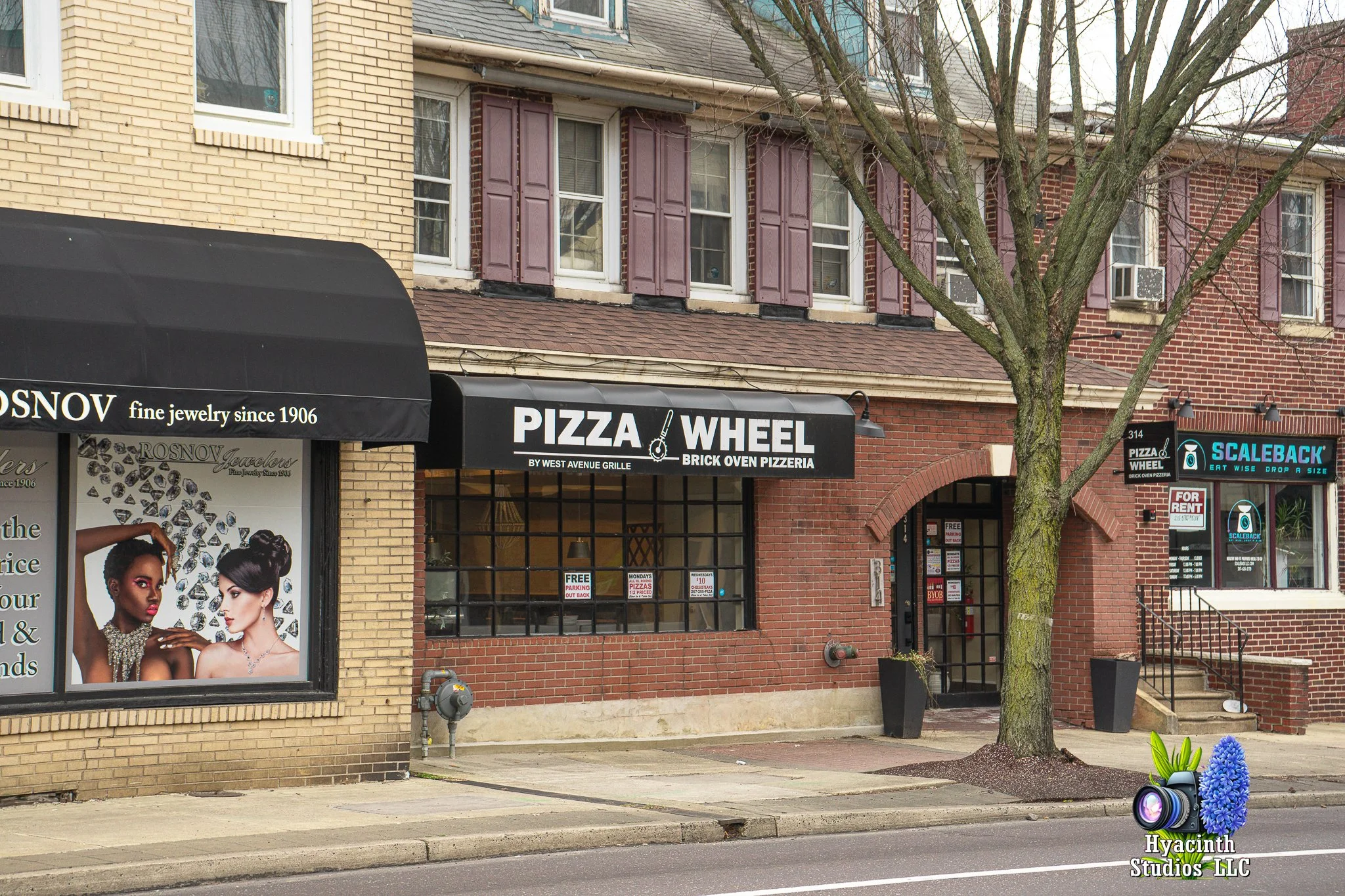 hyacinthstudiosllc-jenkintown-10feb2024-12.jpg
