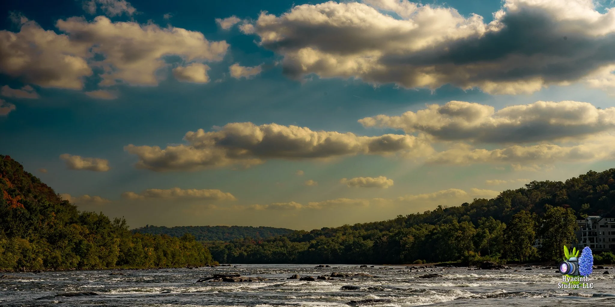 hyacinthstudiosllc-naturebatch-13.jpg