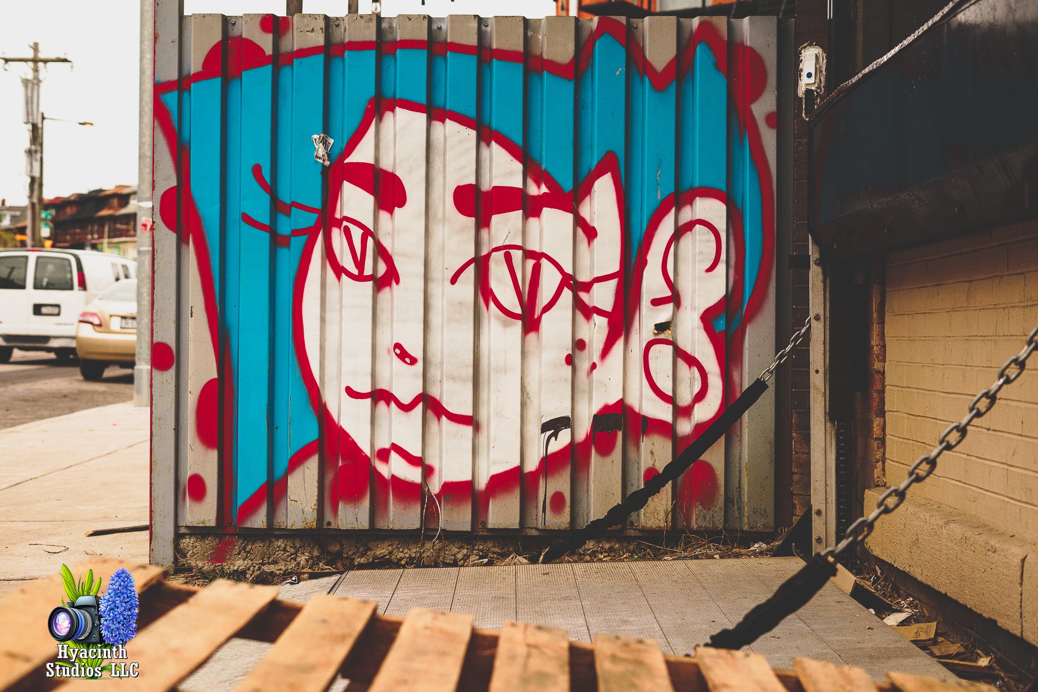 hyacinthstudiosllc-bronxphotowalk-springhill-24.jpg