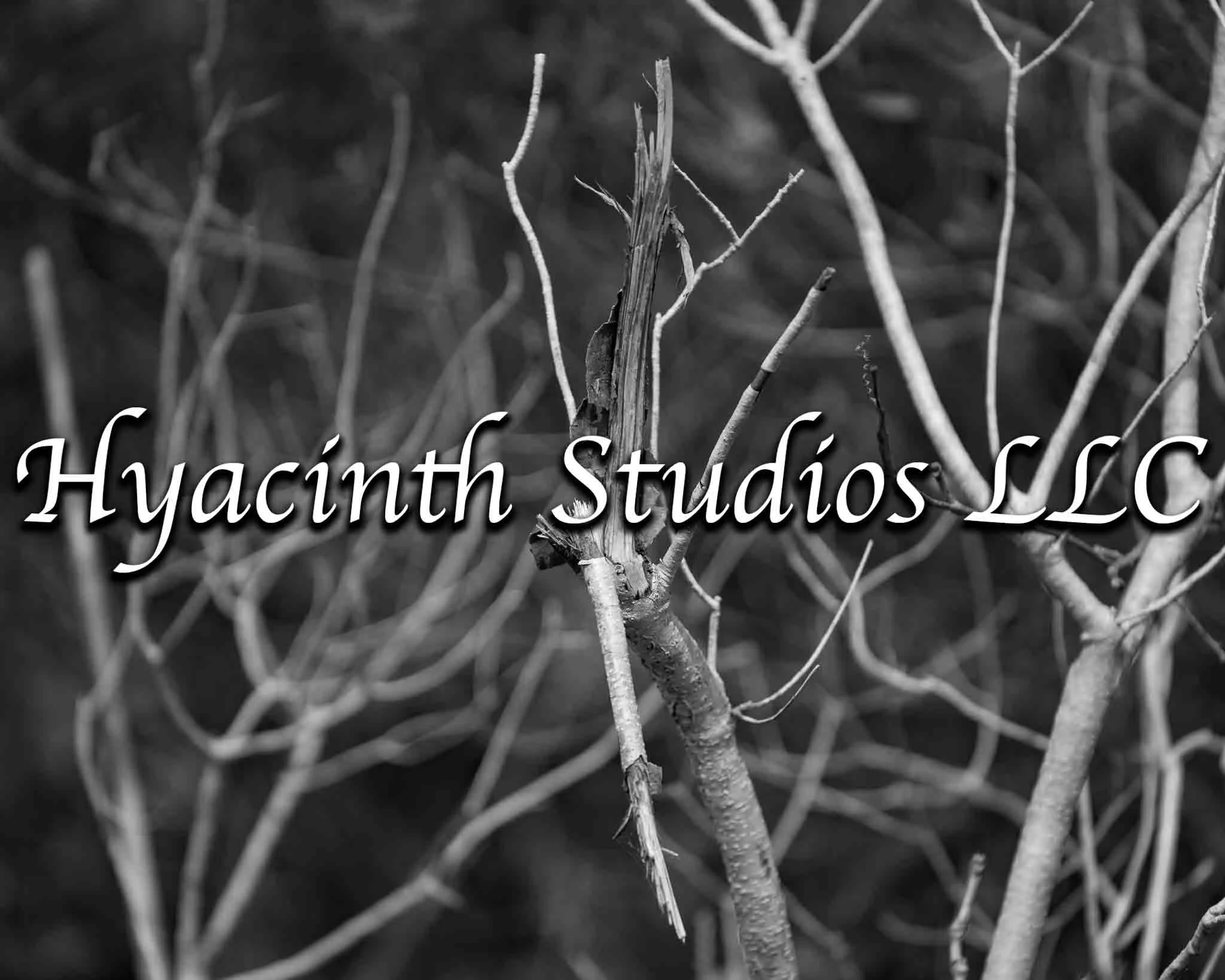 HyacinthStudiosLLC_Serenity_Display Images-2.jpg