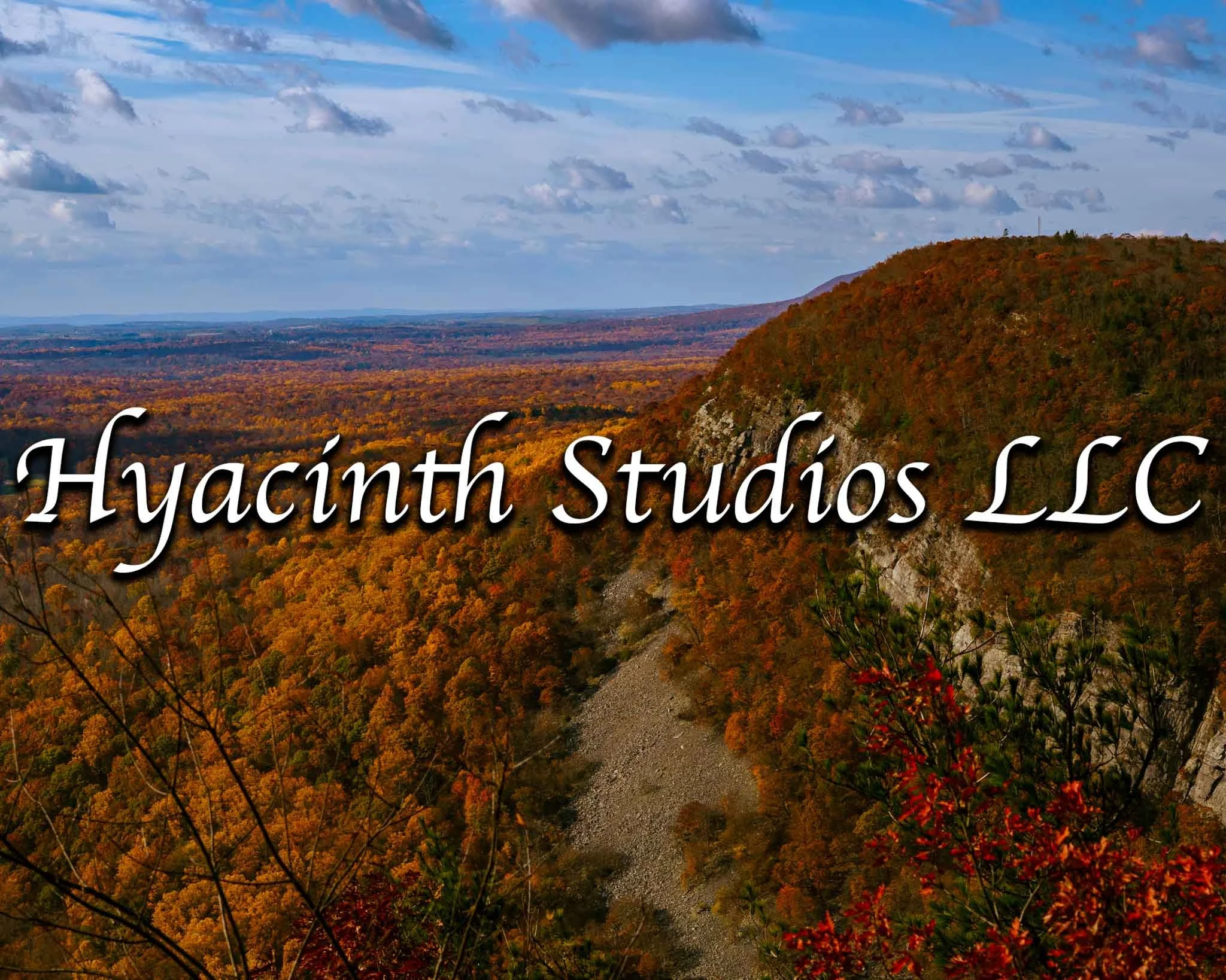 HyacinthStudiosLLC_Download_Autumn2024_FacesforSmartwatches_Display-4.jpg