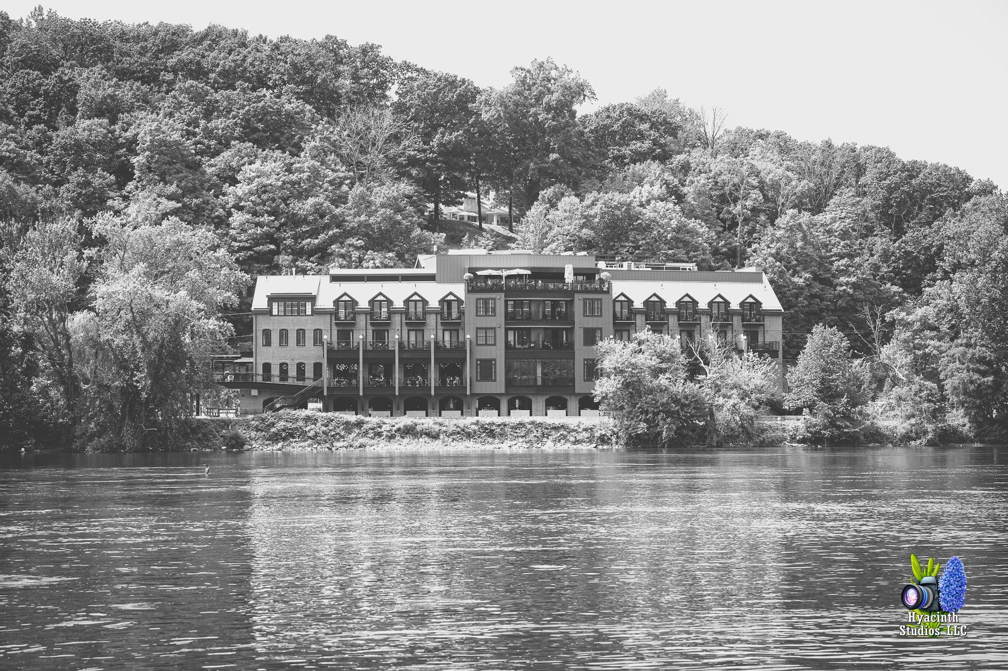 hyacinthstudiosllc-lambertville-24sataugust2024-26.jpg