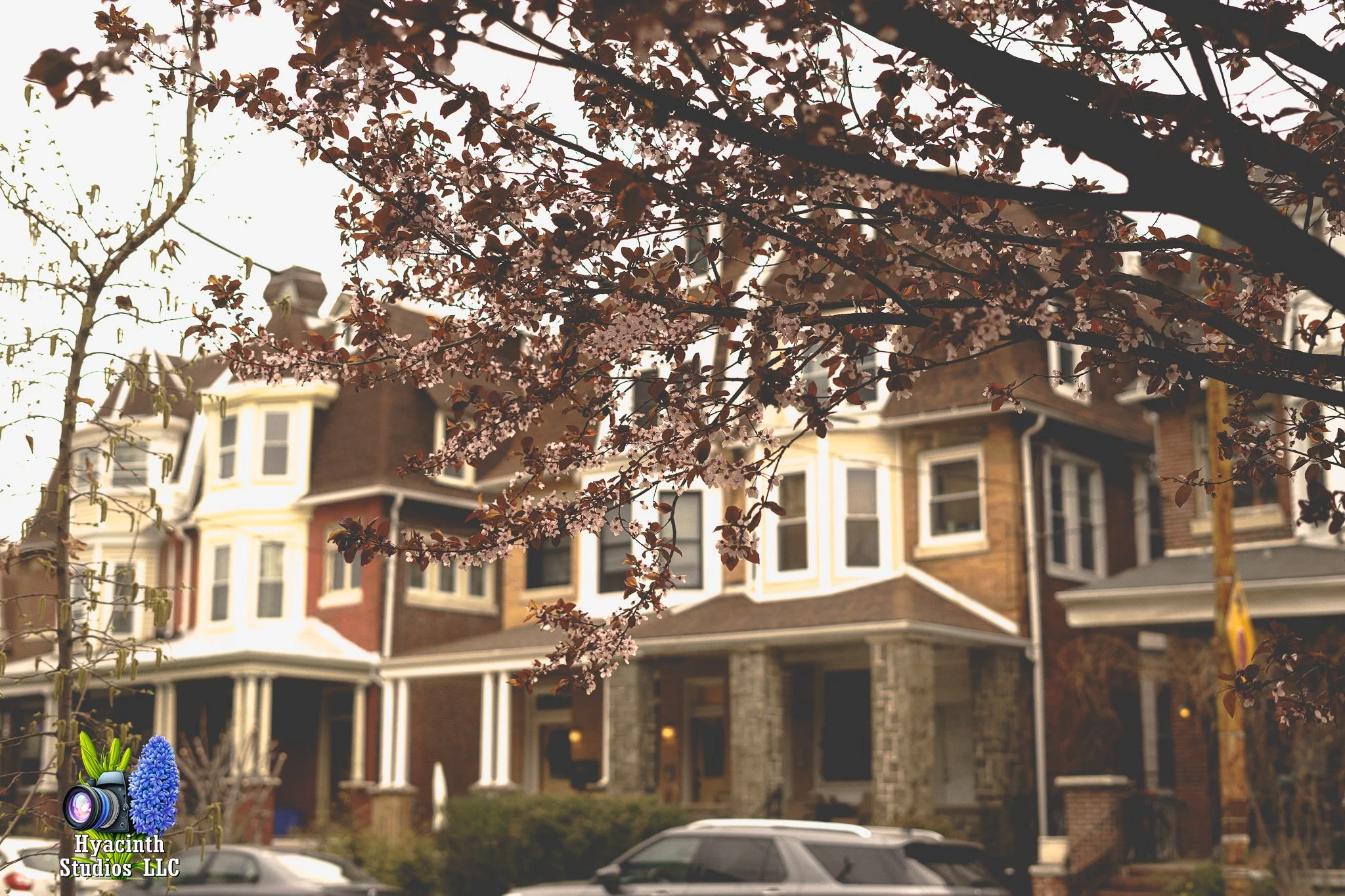 hyacinthstudiosllc-bronxphotowalk-springhill-21.jpg