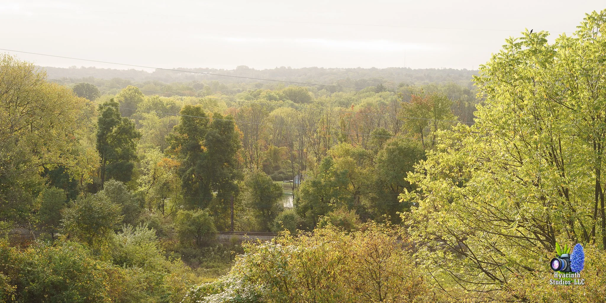 hyacinthstudiosllc-naturebatch-02.jpg