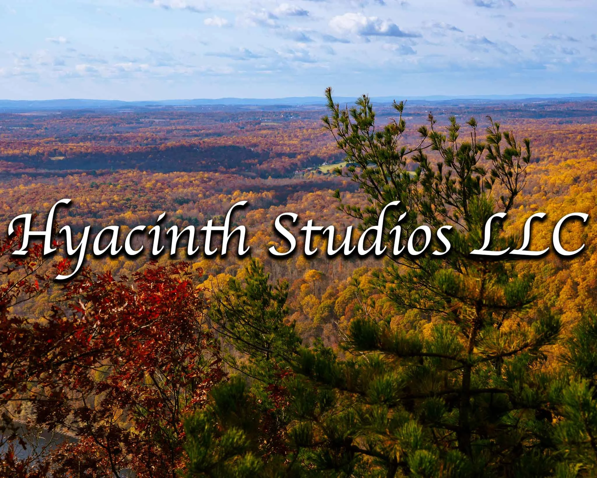 HyacinthStudiosLLC_Download_Autumn2024_FacesforSmartwatches_Display-5.jpg