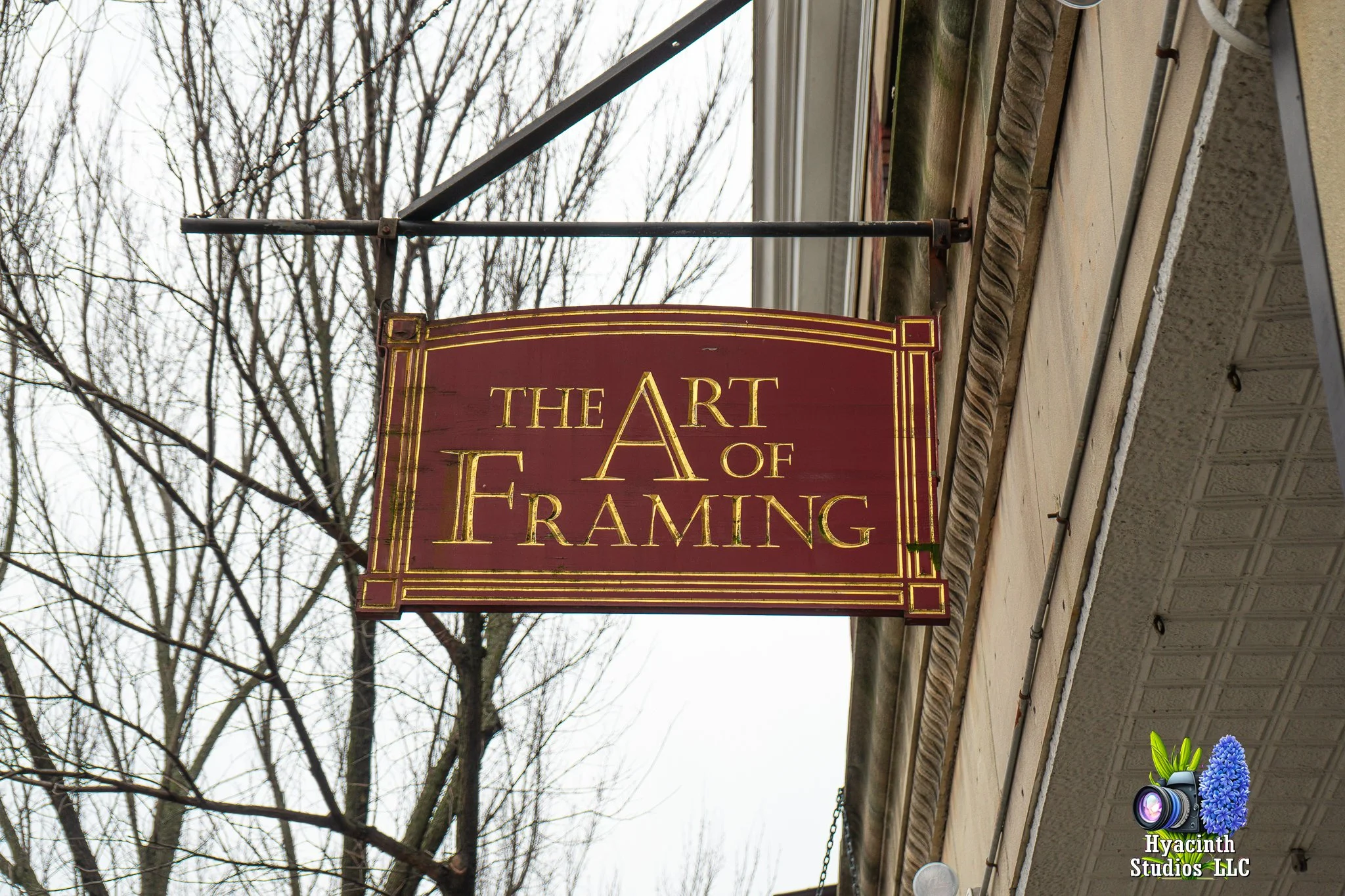 hyacinthstudiosllc-jenkintown-10feb2024-11.jpg