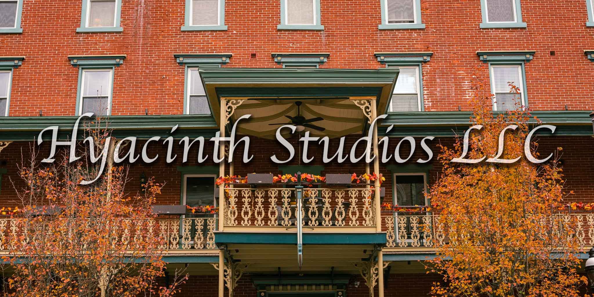 hyacinthstudiosllc-jimthorpe-07.jpg