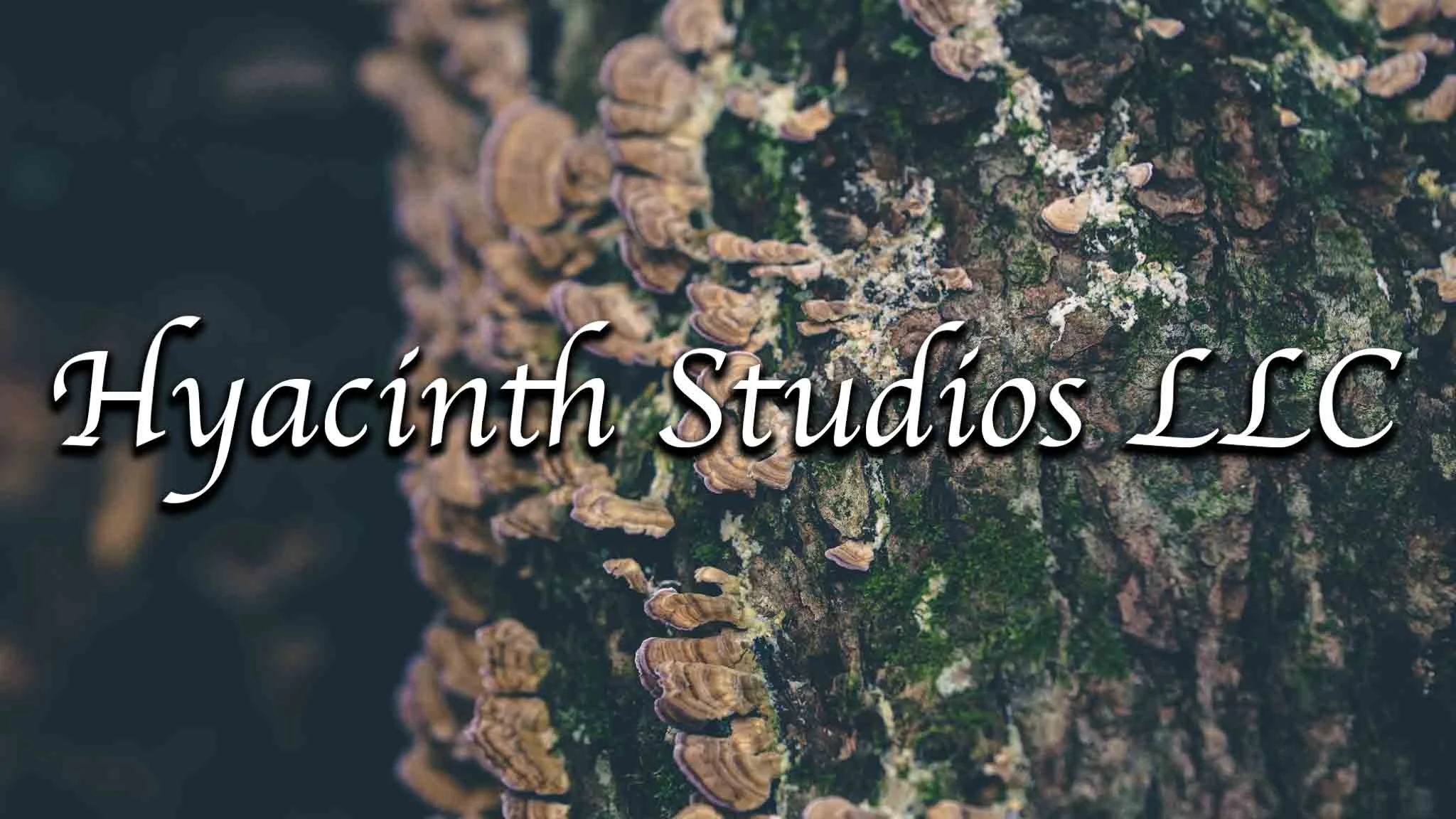 HyacinthStudiosLLC_Authenticity_FacesForSmartwatches-2.jpg