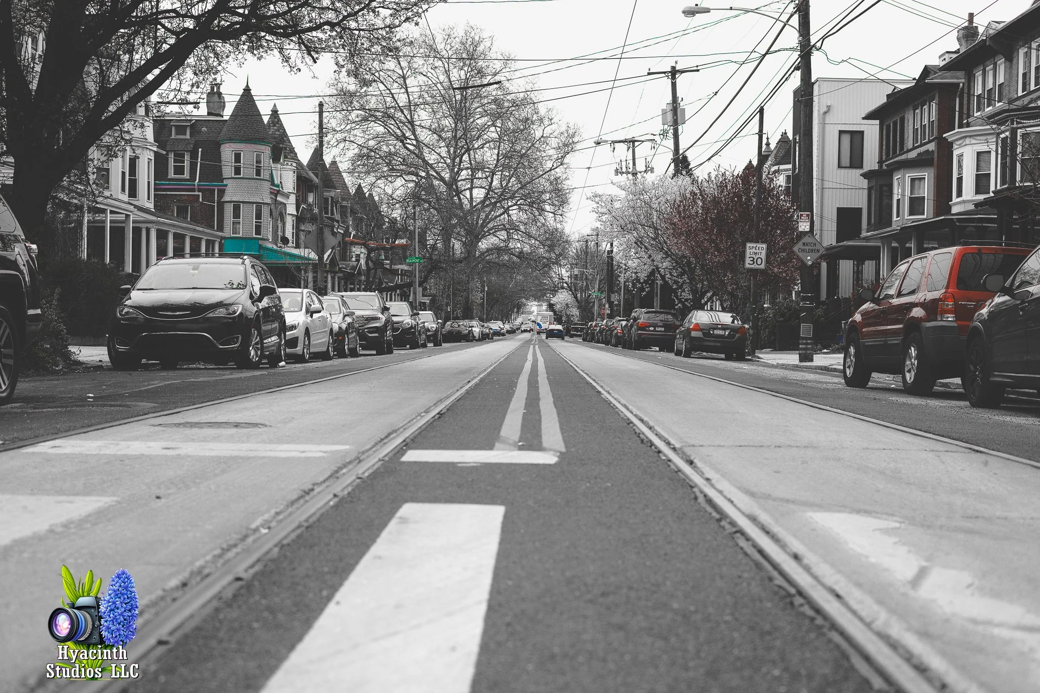 hyacinthstudiosllc-bronxphotowalk-springhill-23.jpg