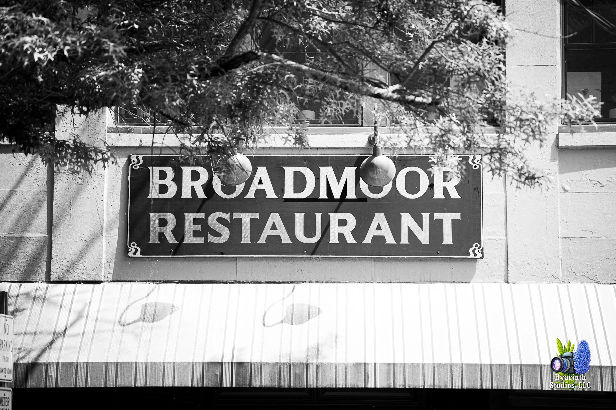 hyacinthstudiosllc-lambertville-24sataugust2024-09.jpg