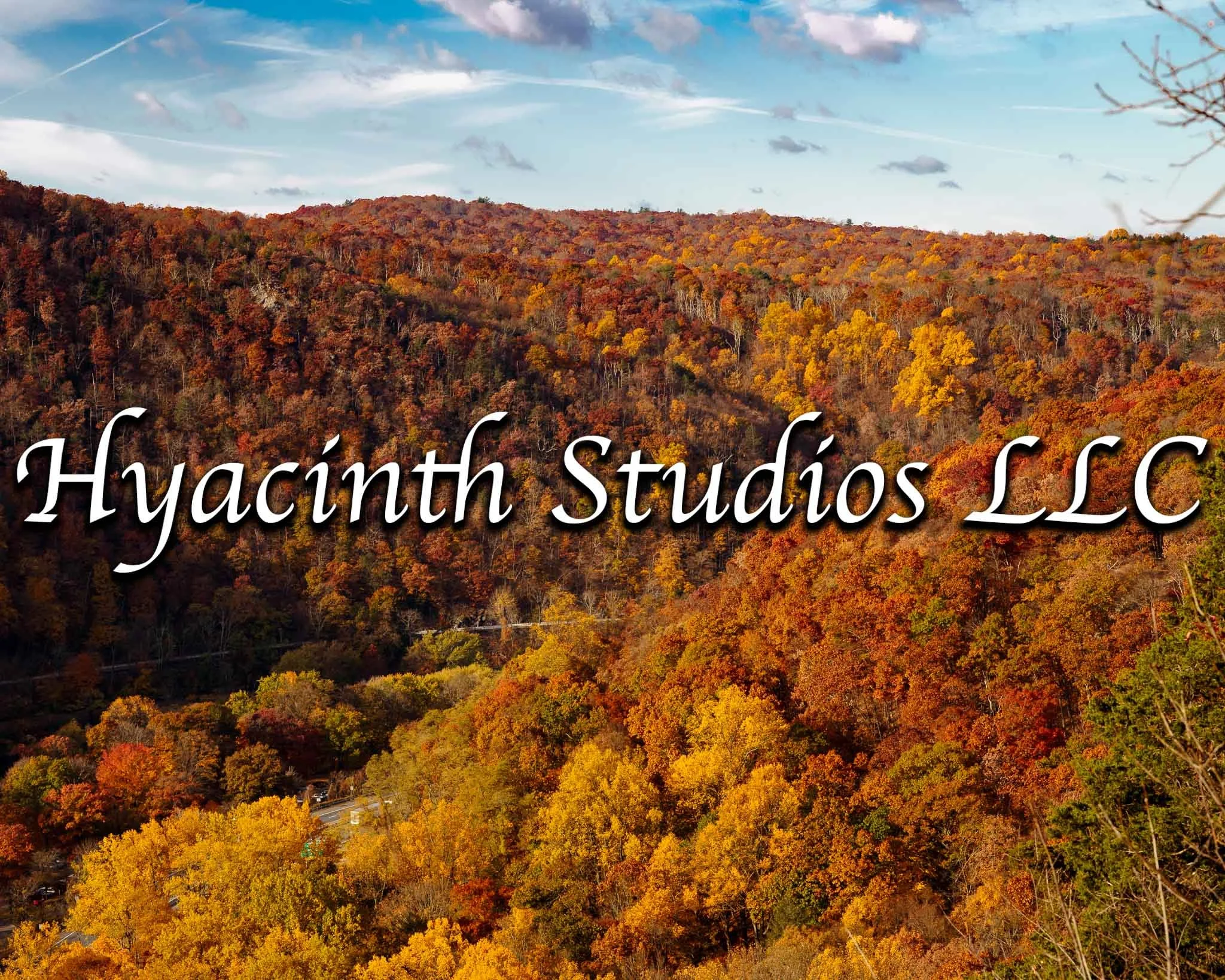 HyacinthStudiosLLC_Download_Autumn2024_FacesforSmartwatches_Display-3.jpg