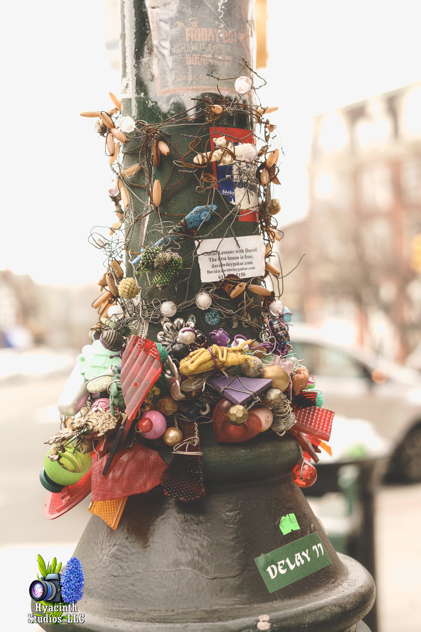 hyacinthstudiosllc-bronxphotowalk-springhill-32.jpg