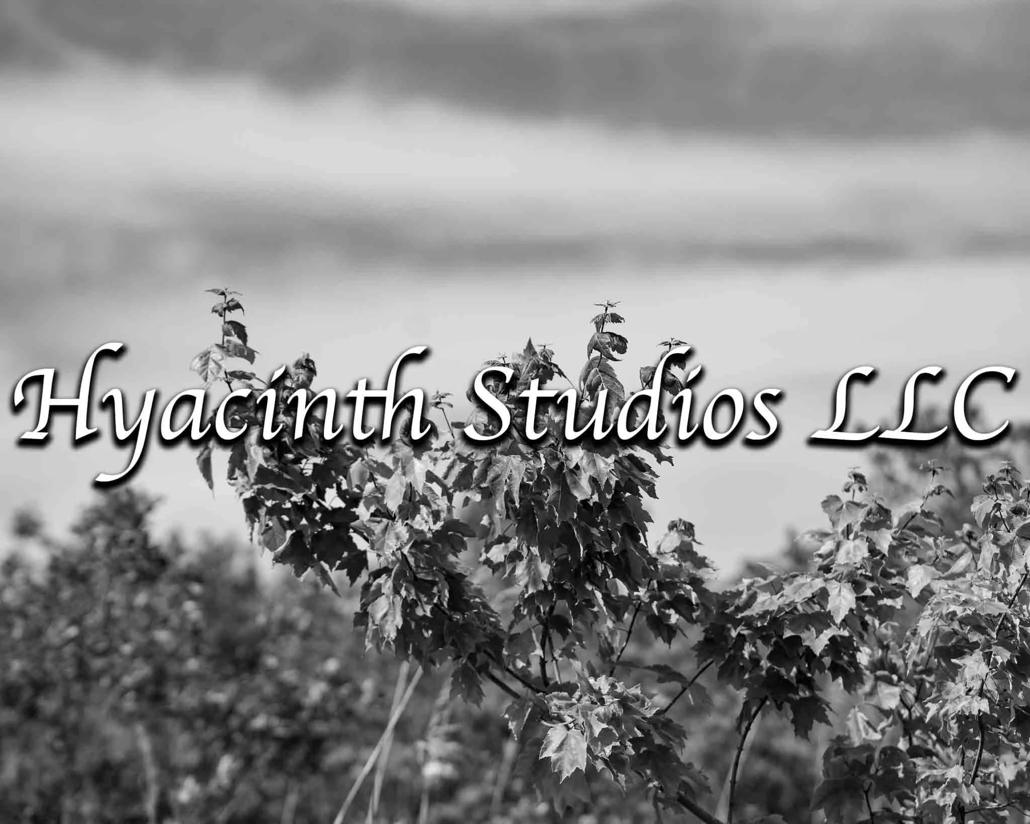 HyacinthStudiosLLC_Serenity_Display Images-3.jpg