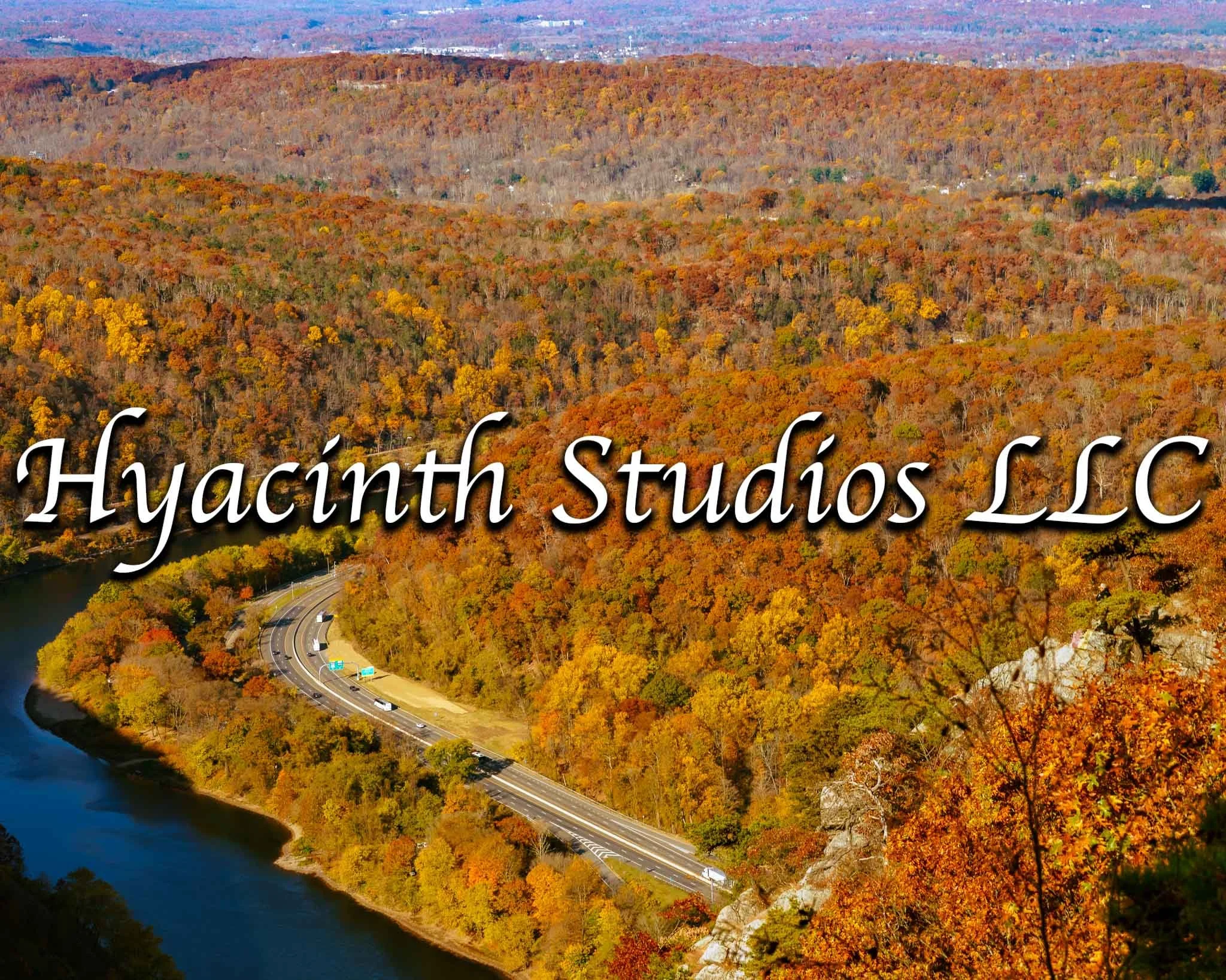 HyacinthStudiosLLC_Download_Autumn2024_FacesforSmartwatches_Display-6.jpg