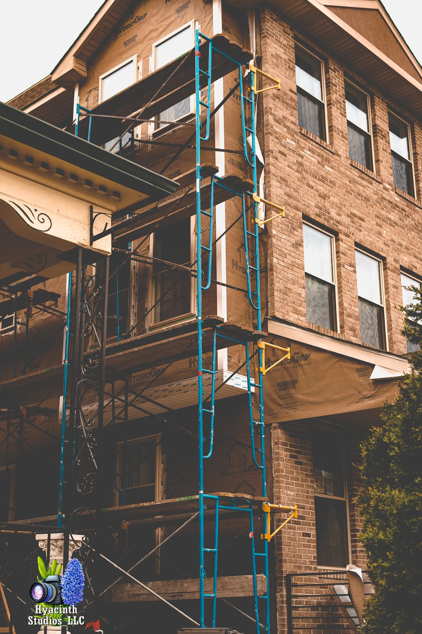 hyacinthstudiosllc-bronxphotowalk-springhill-15.jpg