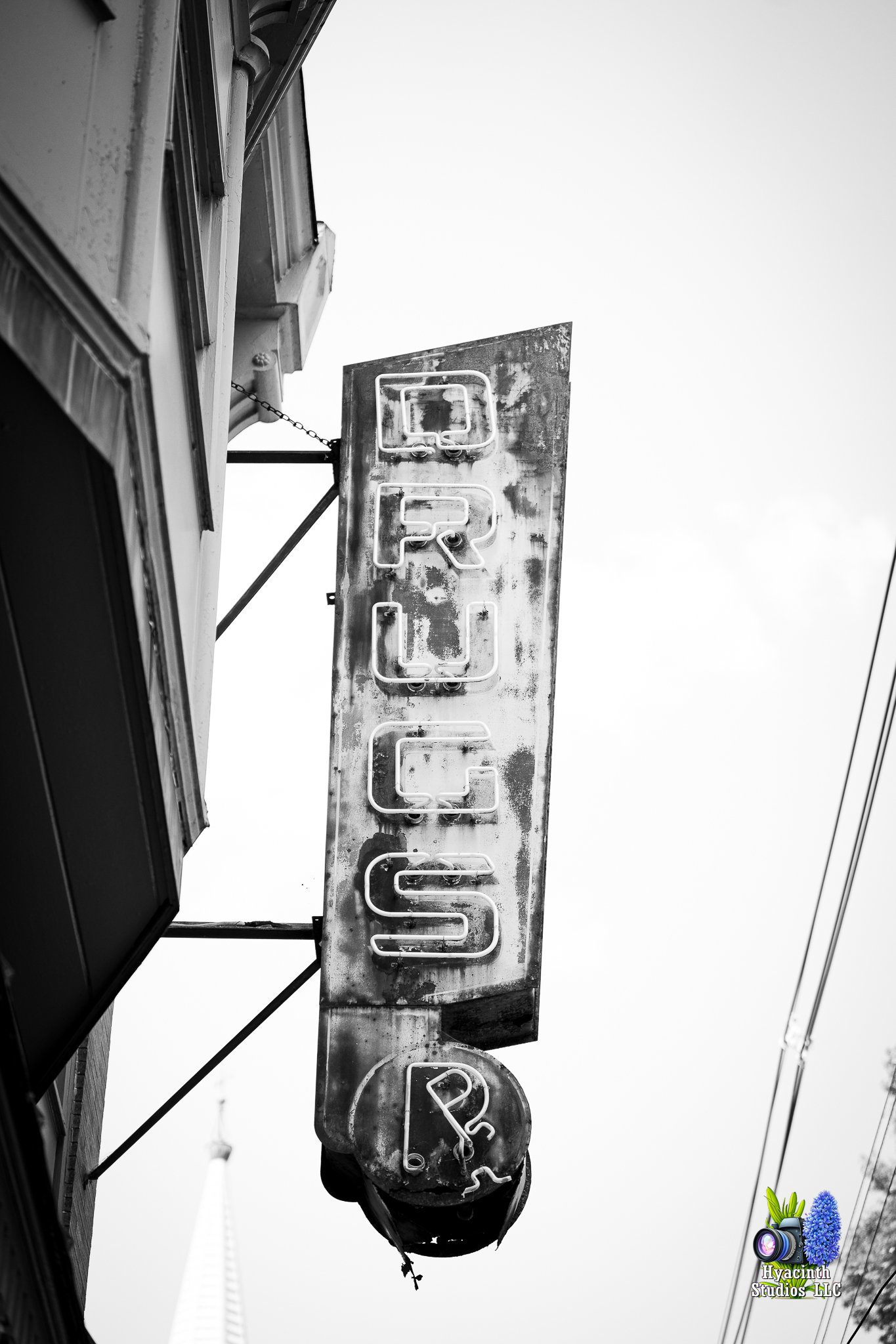 hyacinthstudiosllc-lambertville-24sataugust2024-32.jpg