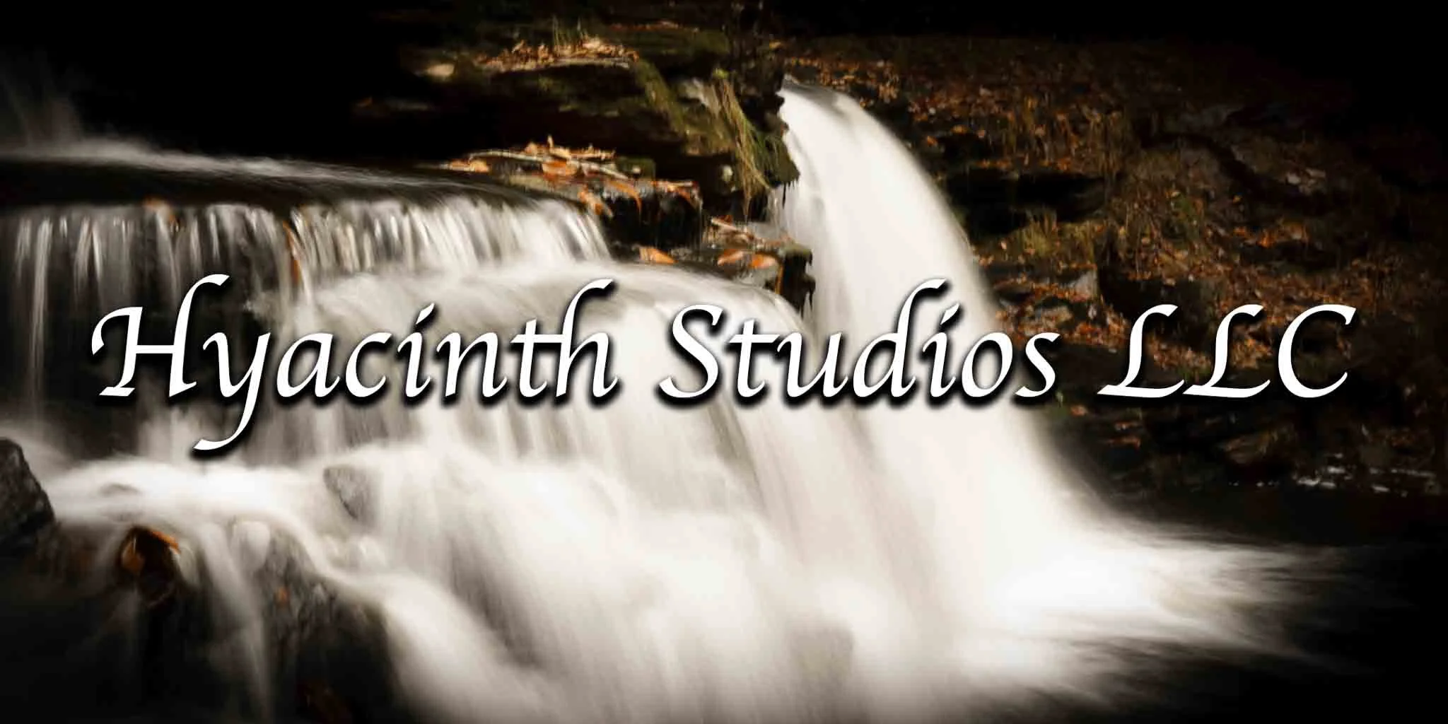 hyacinthstudiosllc-rickettsglenstatepark-6.jpg