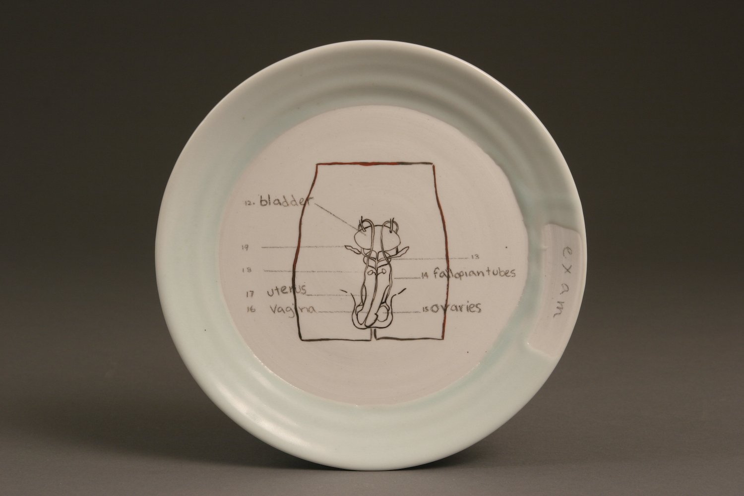  close-up of plate  imagery: notice that the student labeled the male imagery with female names. 