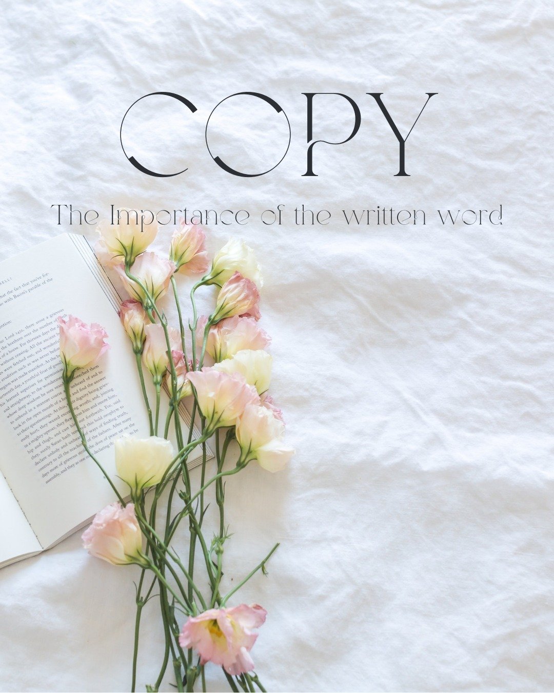 Did you know that the words (aka the copy) on your website can make or break your business? 

Great copy is more than just pretty phrases&mdash;it's your chance to connect with your audience, convey your brand's message, and drive conversions!

When 