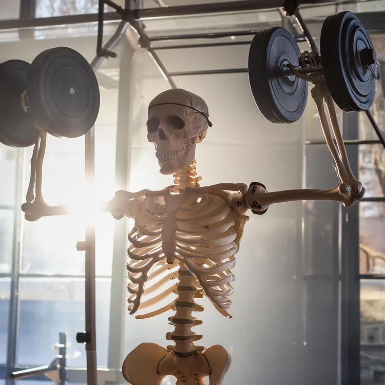 Bone Health: Osteoporosis and beyond — Liberated Rehabilitation, PLLC