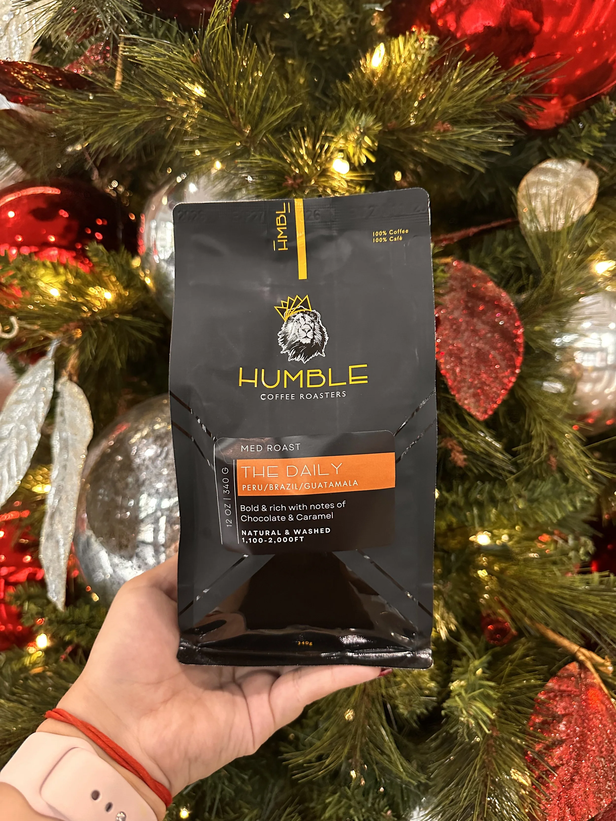 IMG_7695 11.13.24 AM.jpg