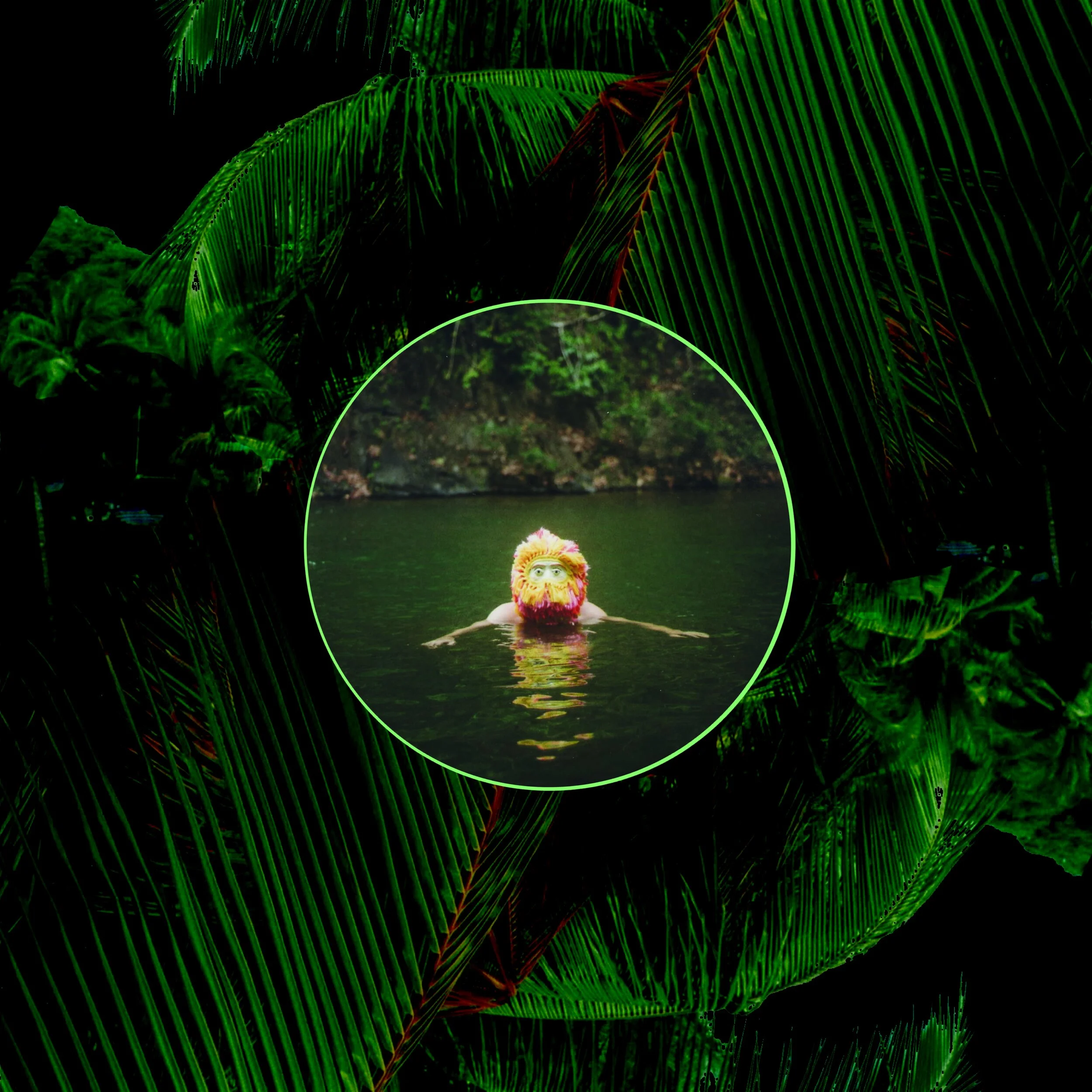 BACK COVER SLEEVE.jpg