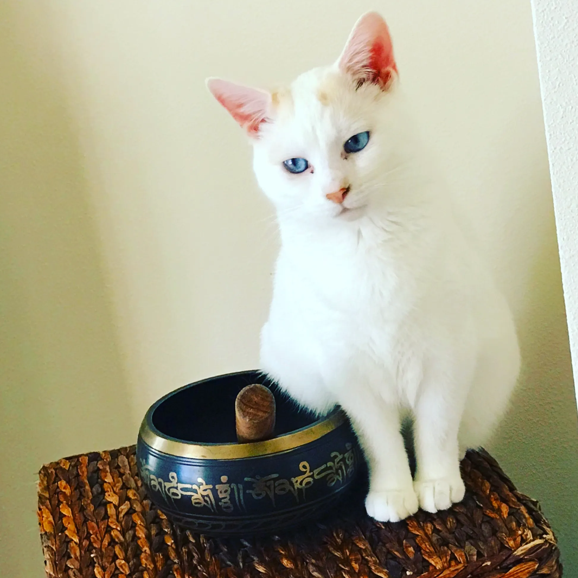 Mother Fluffer &amp; The Sacred Wound