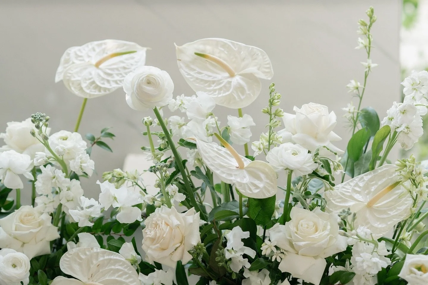 I love colors with everything in me but there&rsquo;s something so timeless about a white garden wedding🤍

Planning: @lavalseevents 
Photographer: @michellegonzalezphoto