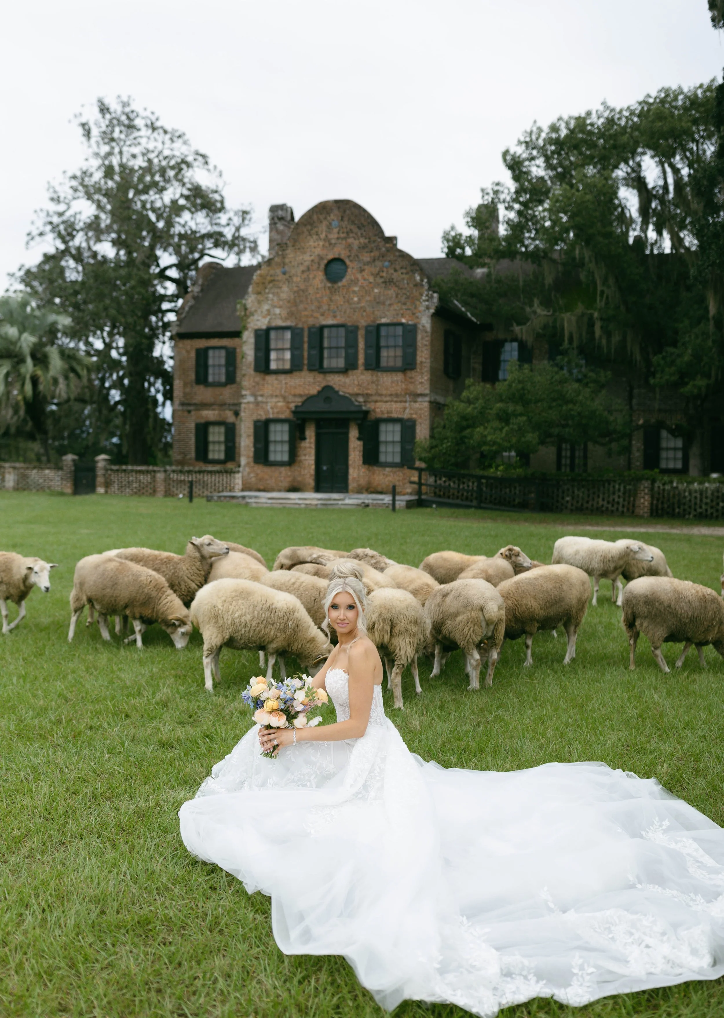 Maddie & Ryan's Wedding Day