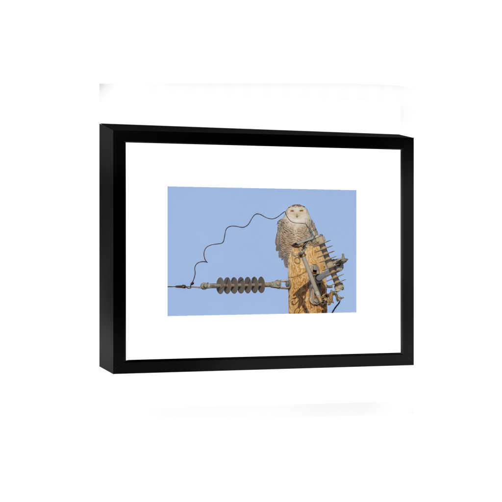 smartframe_rectangle2_3_0_0_5477_3651_0_false_ffffff_0_0.png