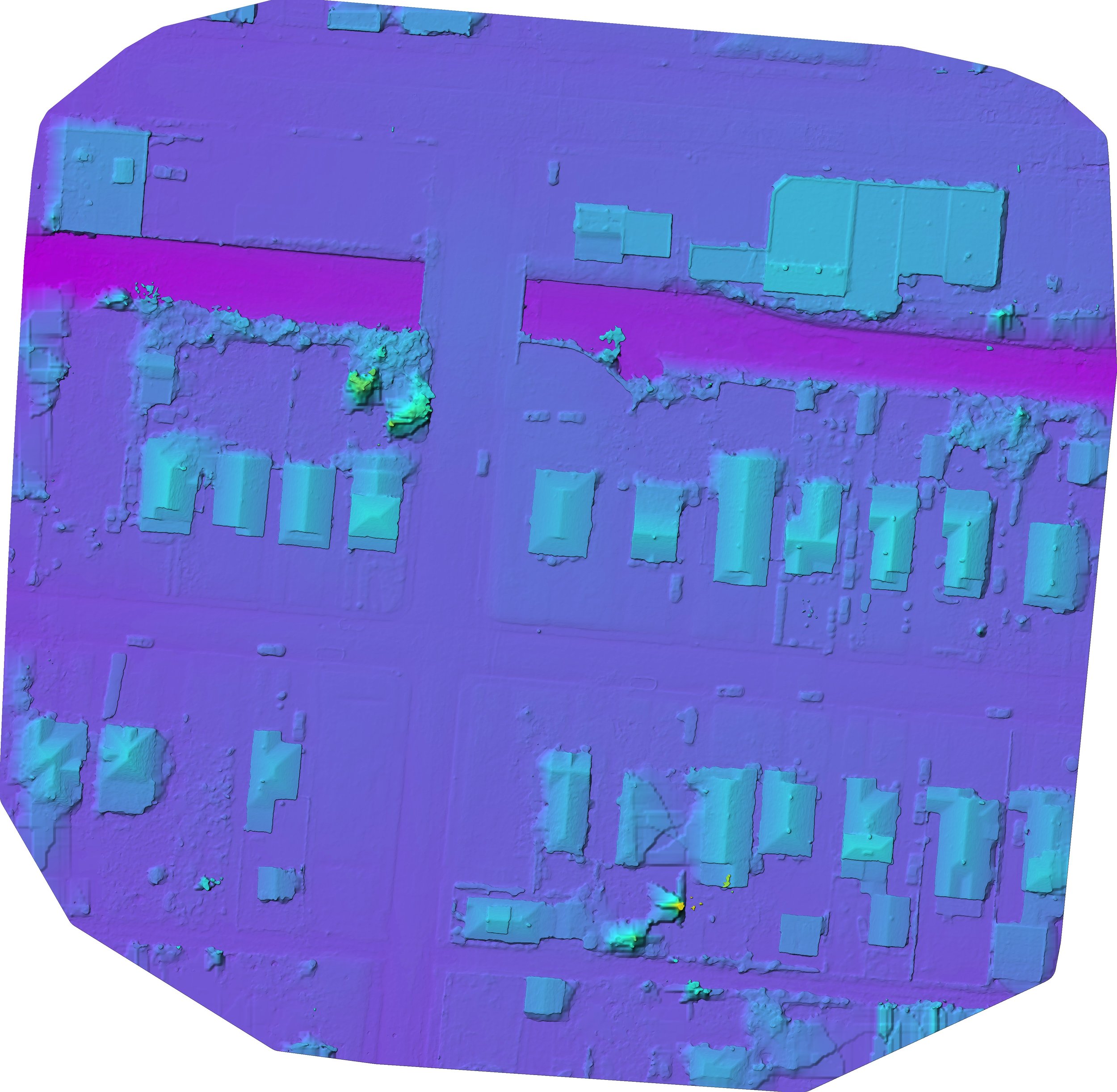 Neighborhood digital surface model