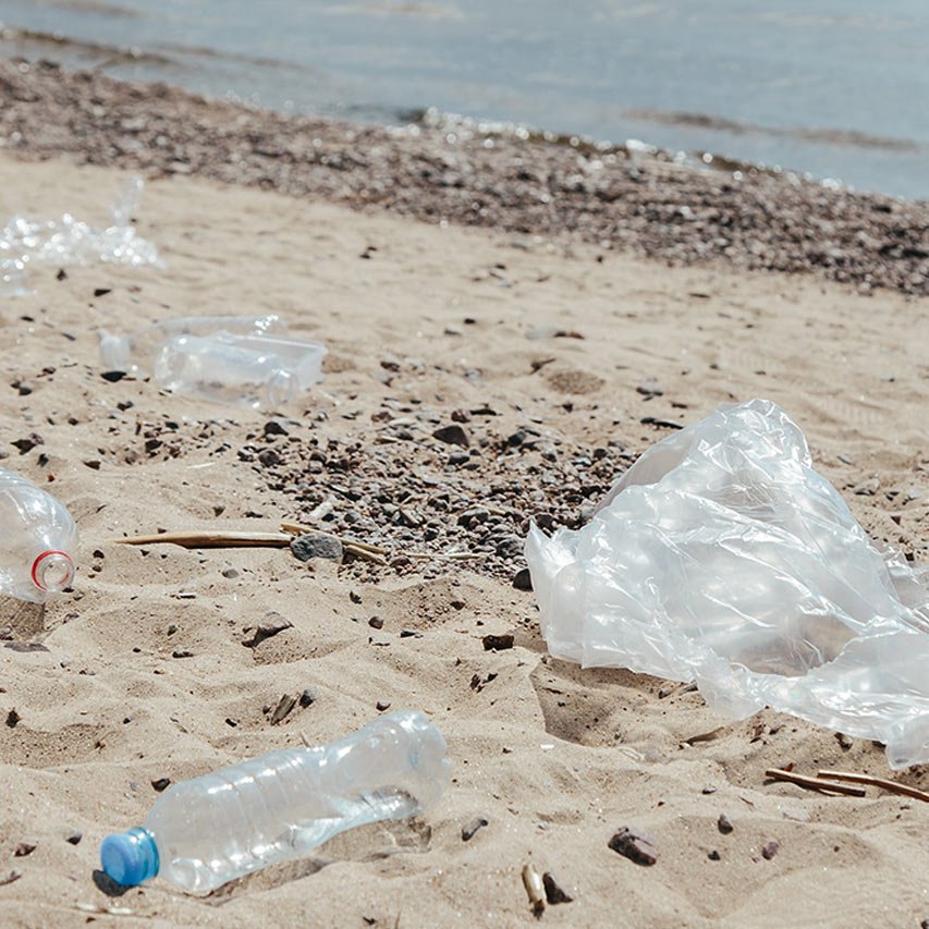 Federal ban on Single-Use Plastics